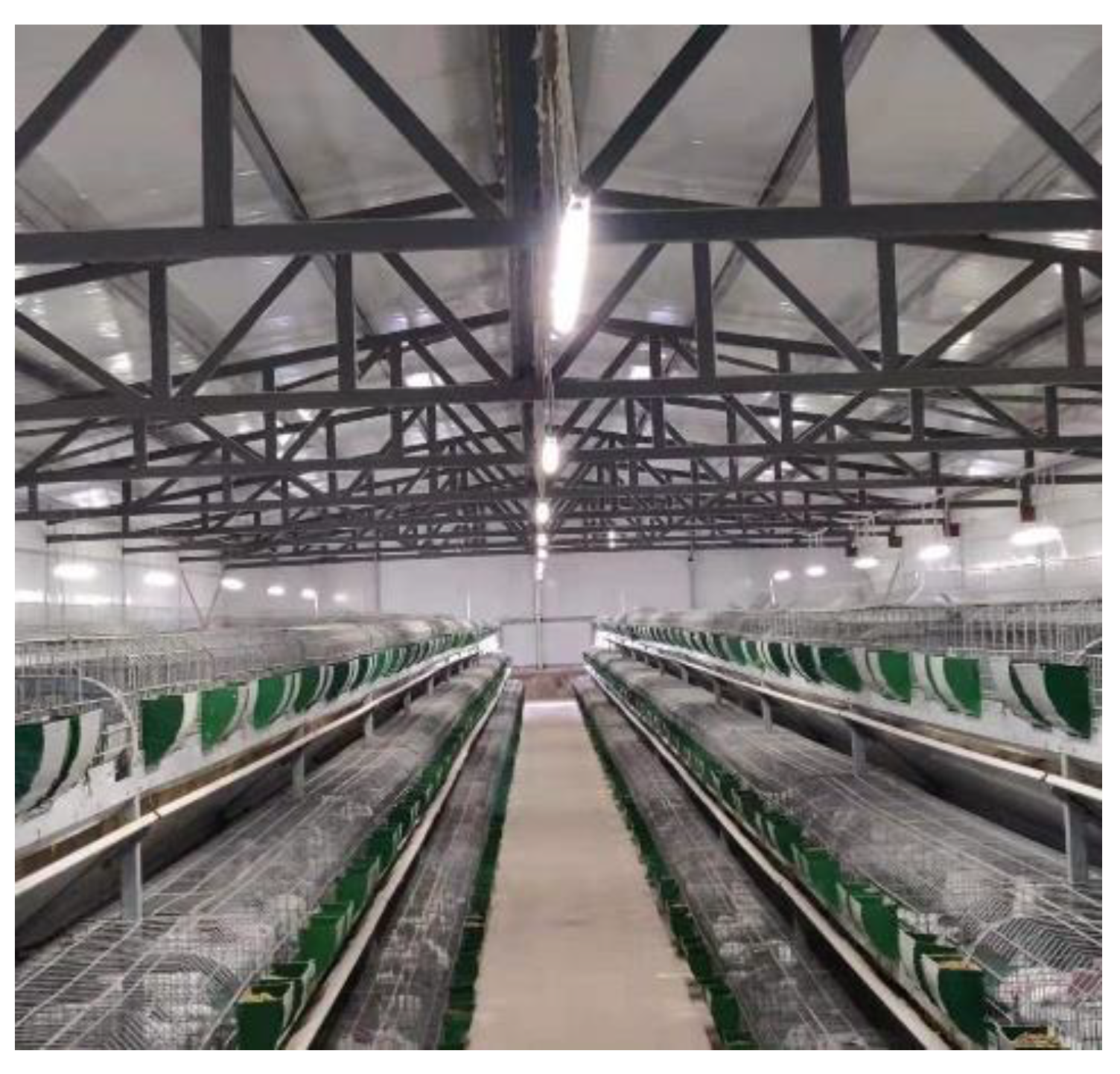 Animals 13 00546 g004 550