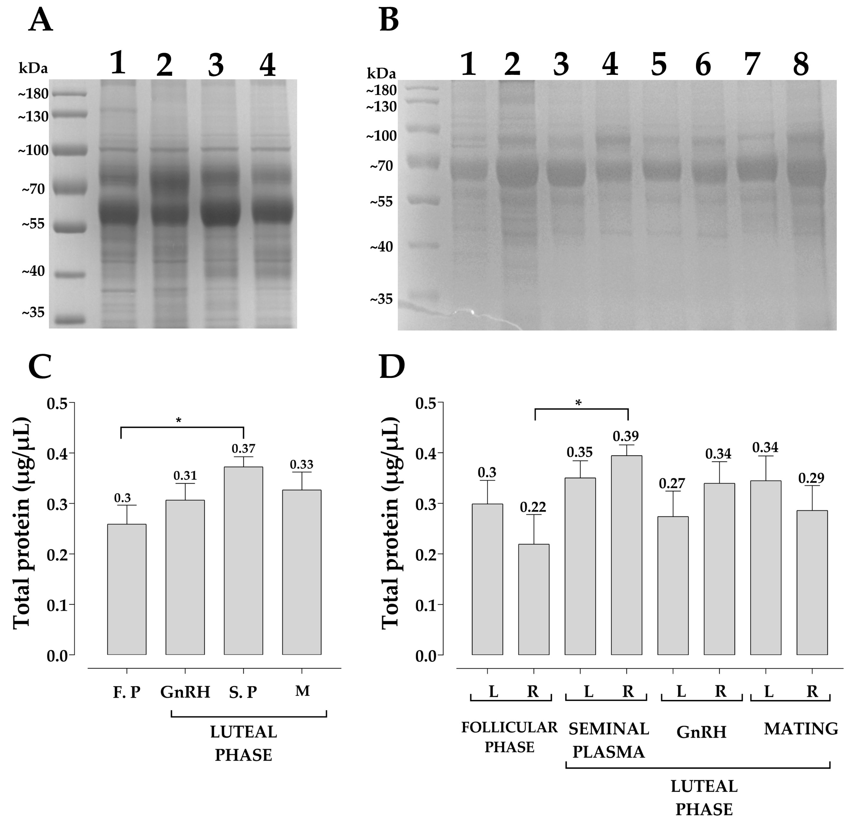 Animals 13 00554 g002