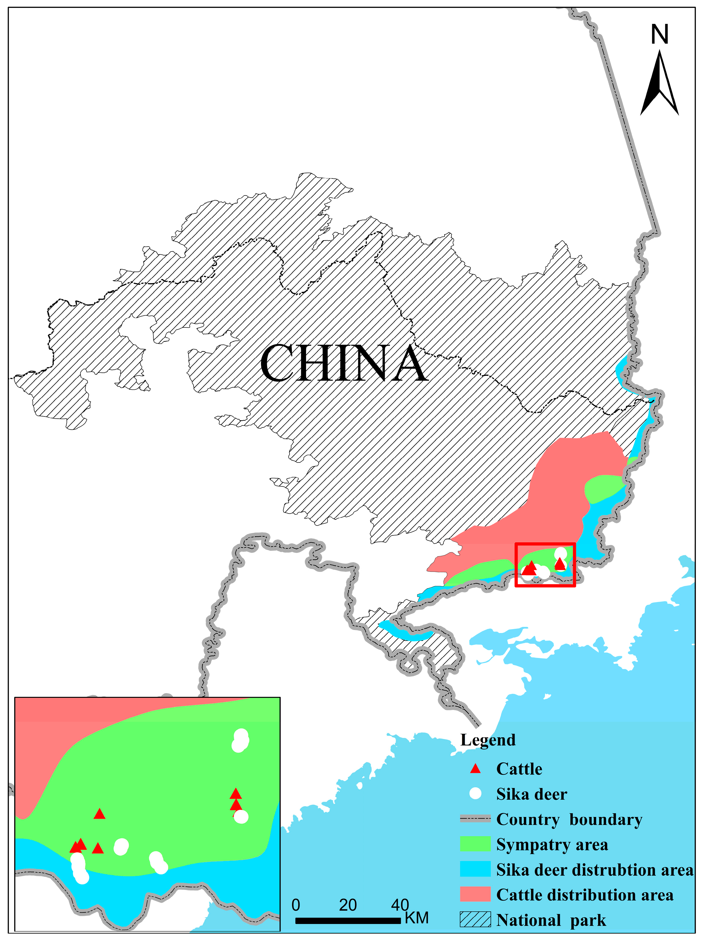 Animals 13 00561 g001 Animals 13 00561 g001