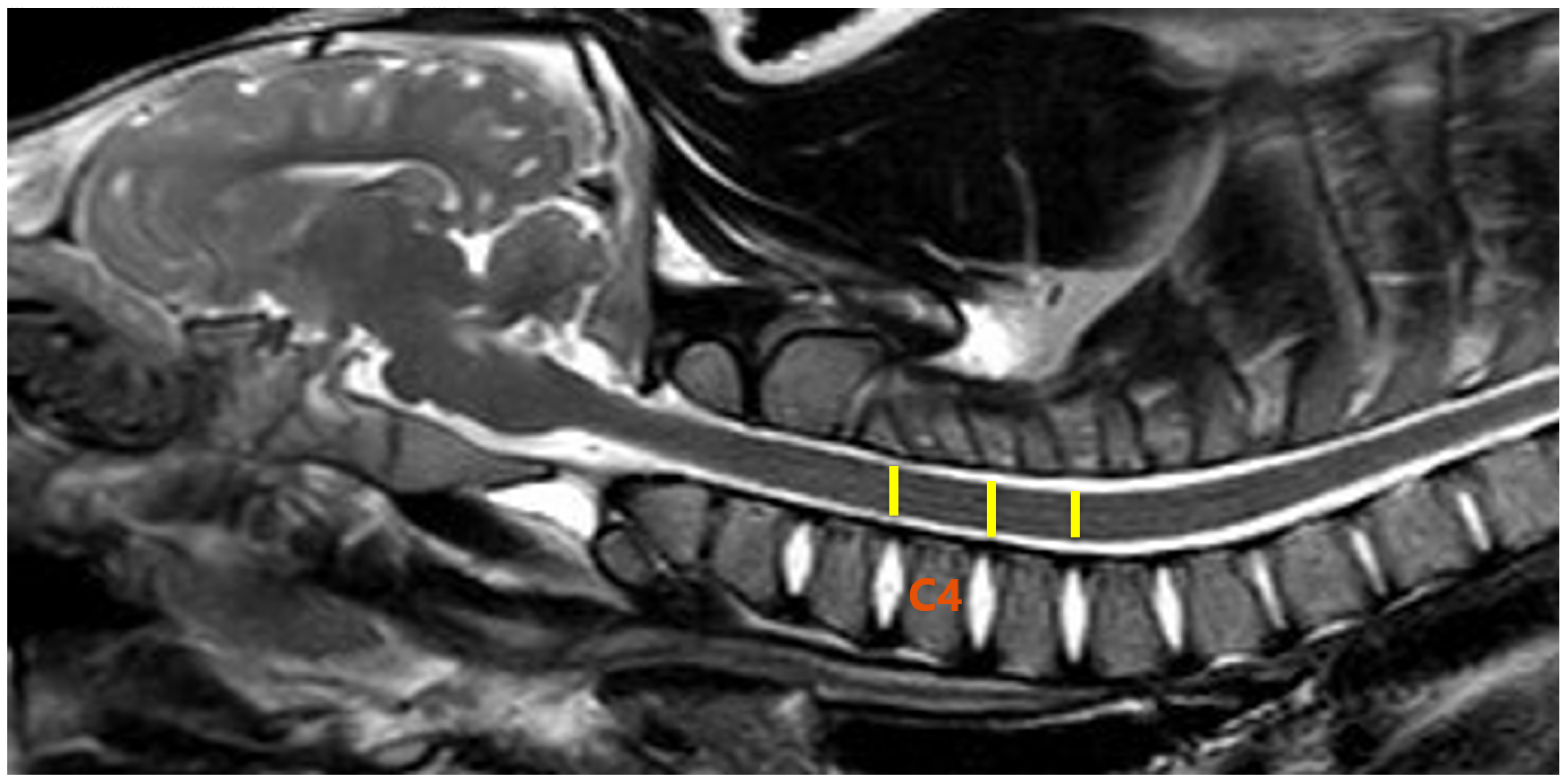 Animals 13 00565 g003 Animals 13 00565 g003