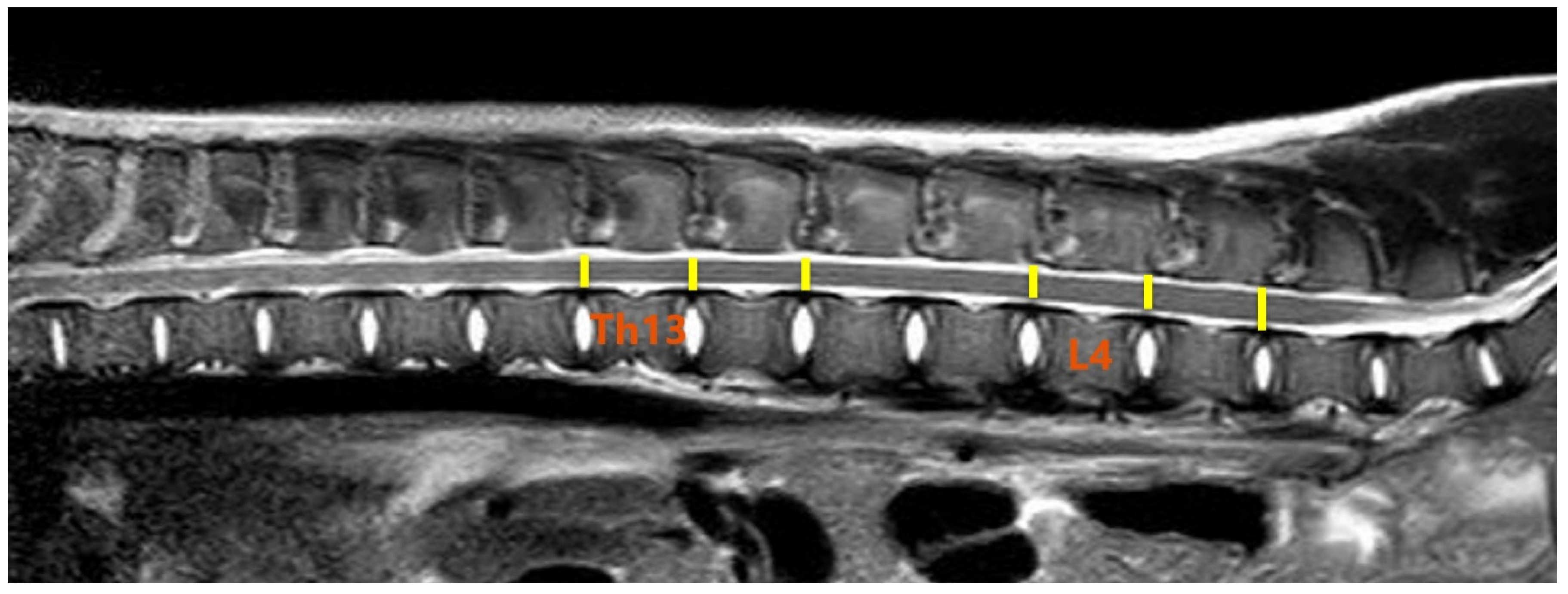Animals 13 00565 g004 Animals 13 00565 g004