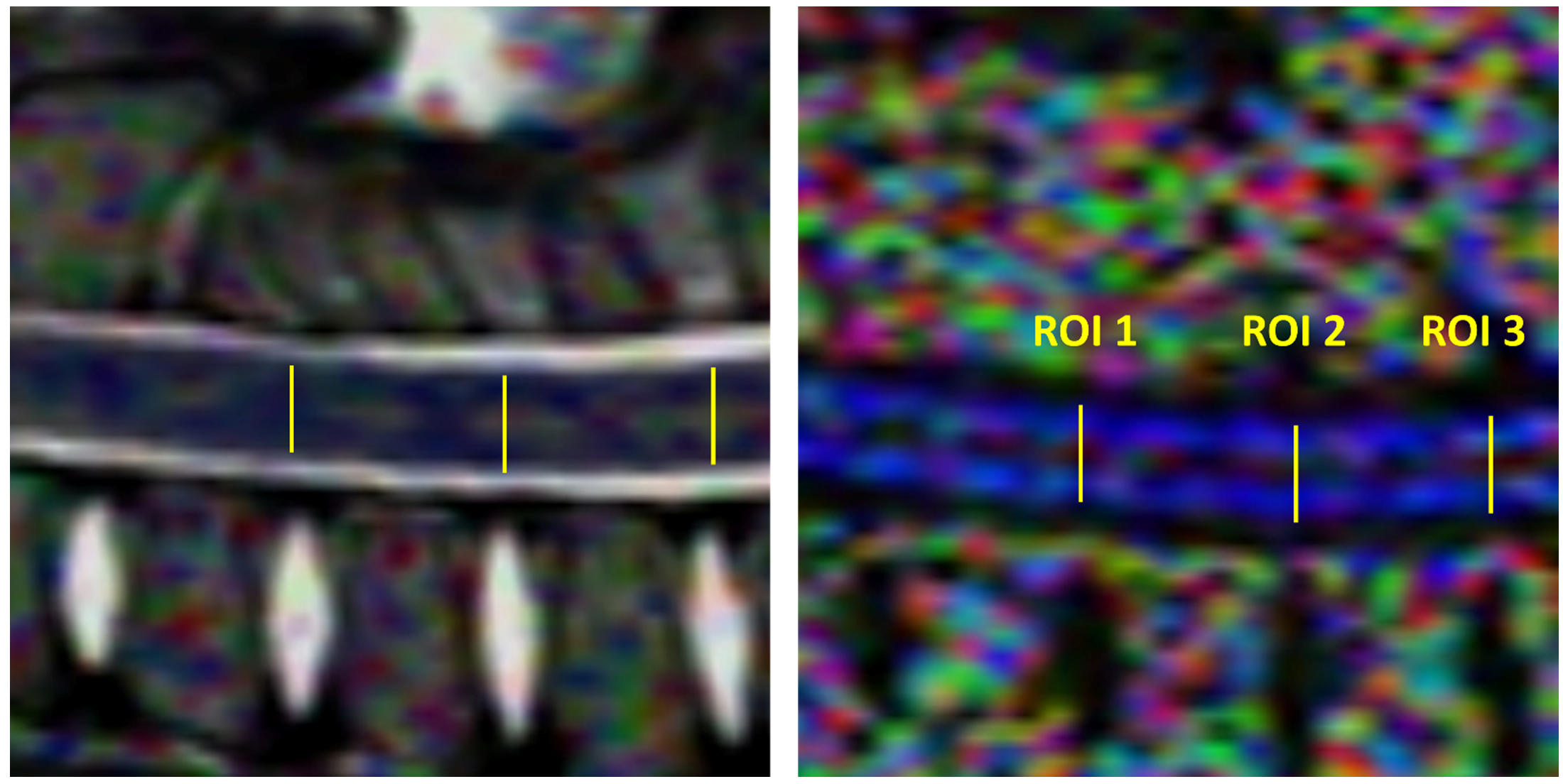 Animals 13 00565 g005 Animals 13 00565 g005