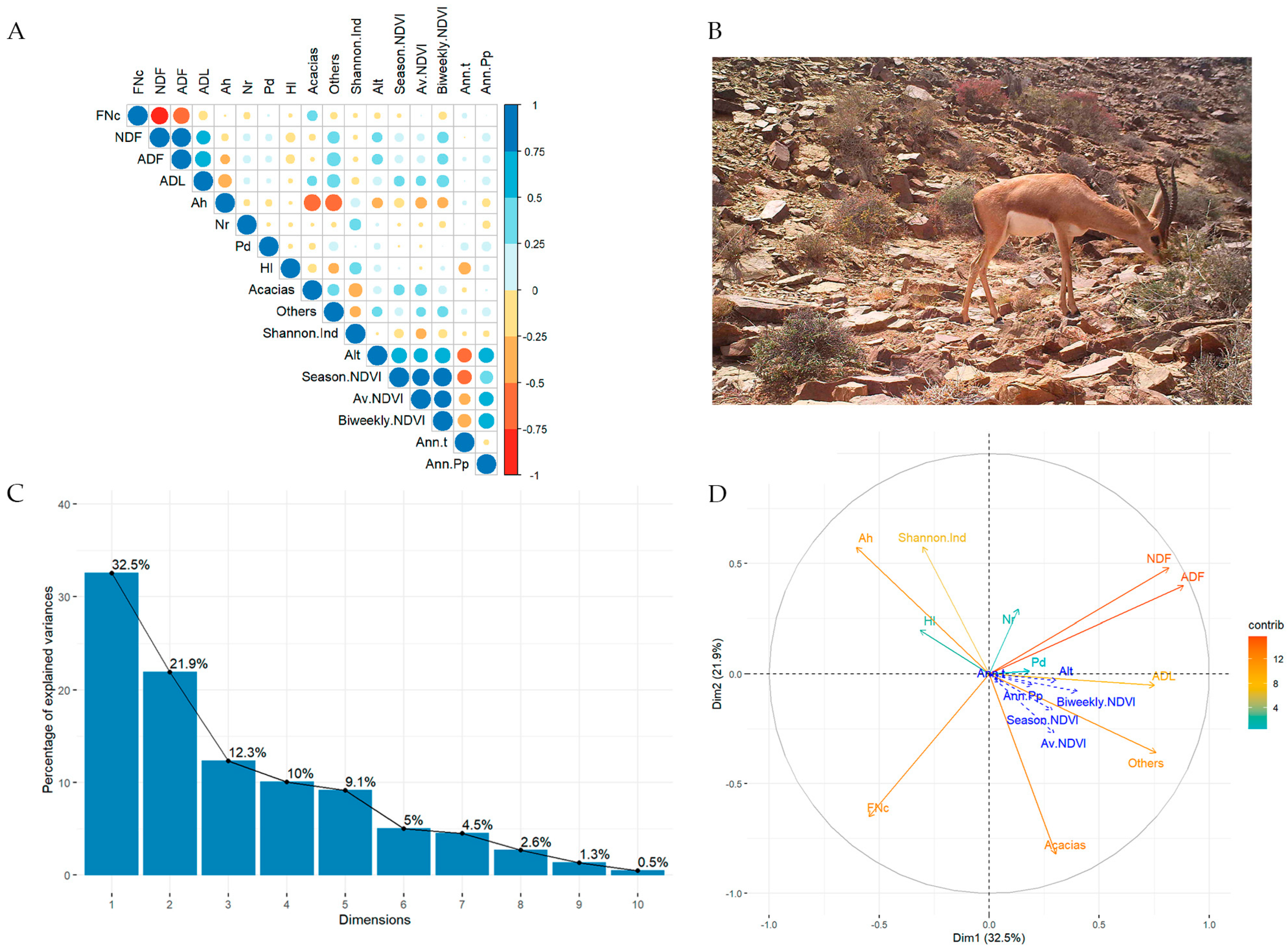 Animals 13 00567 g004 Animals 13 00567 g004