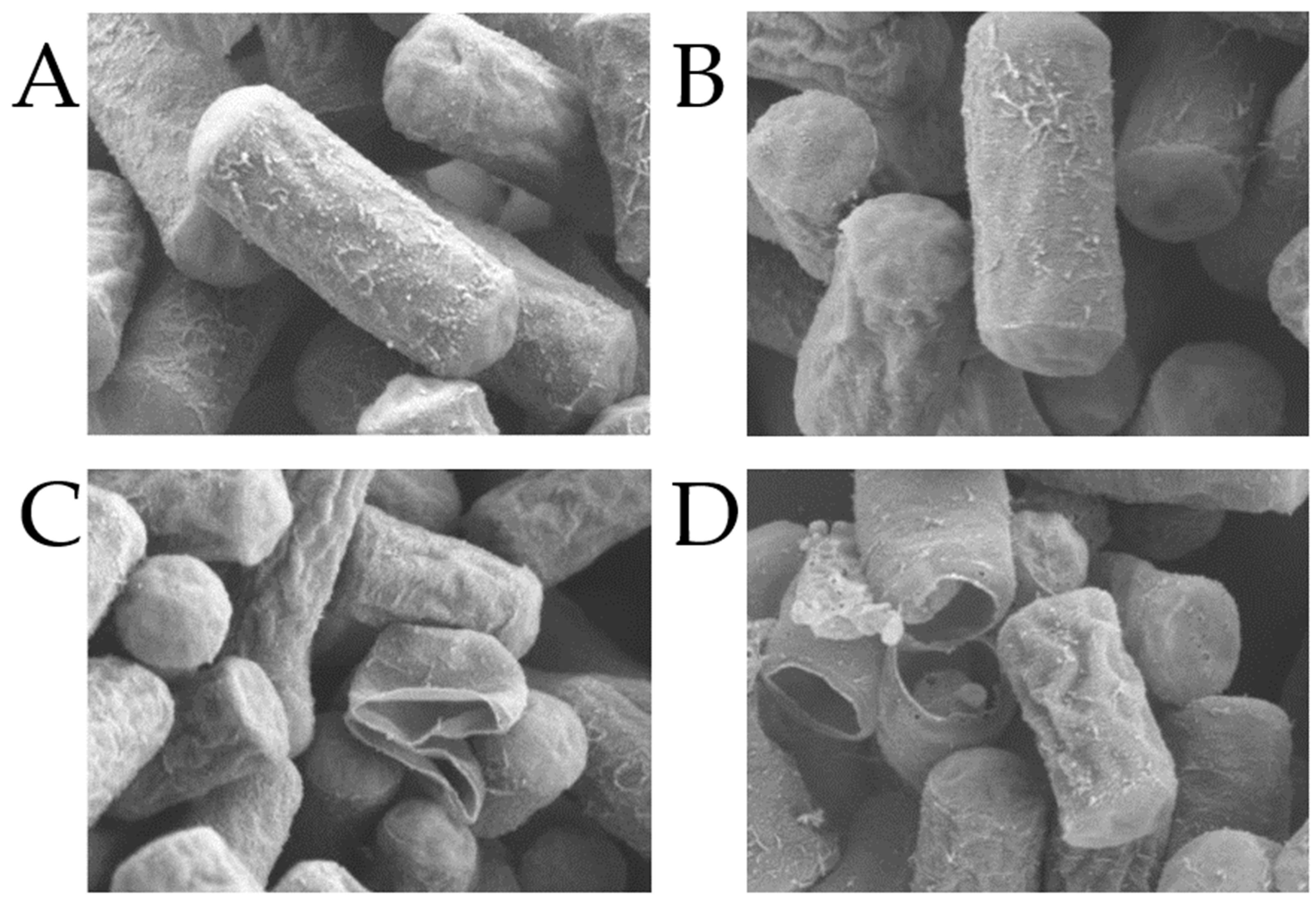 Animals 13 00577 g002