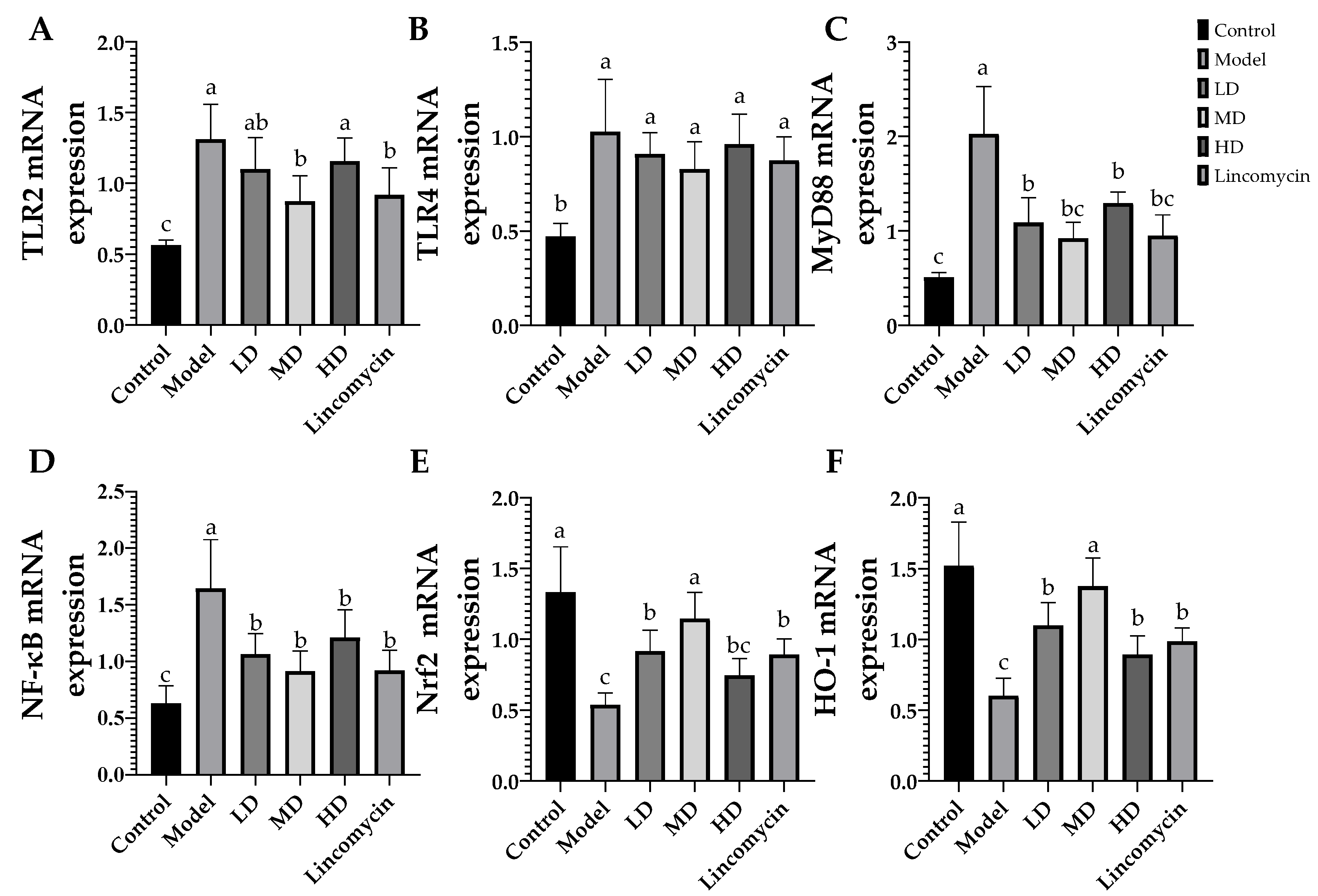 Animals 13 00577 g008
