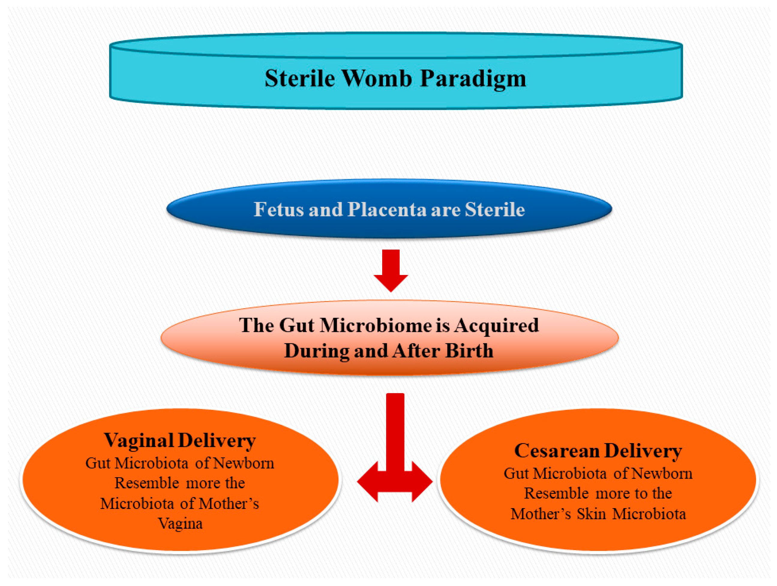 Animals 13 00578 g001 Animals 13 00578 g001