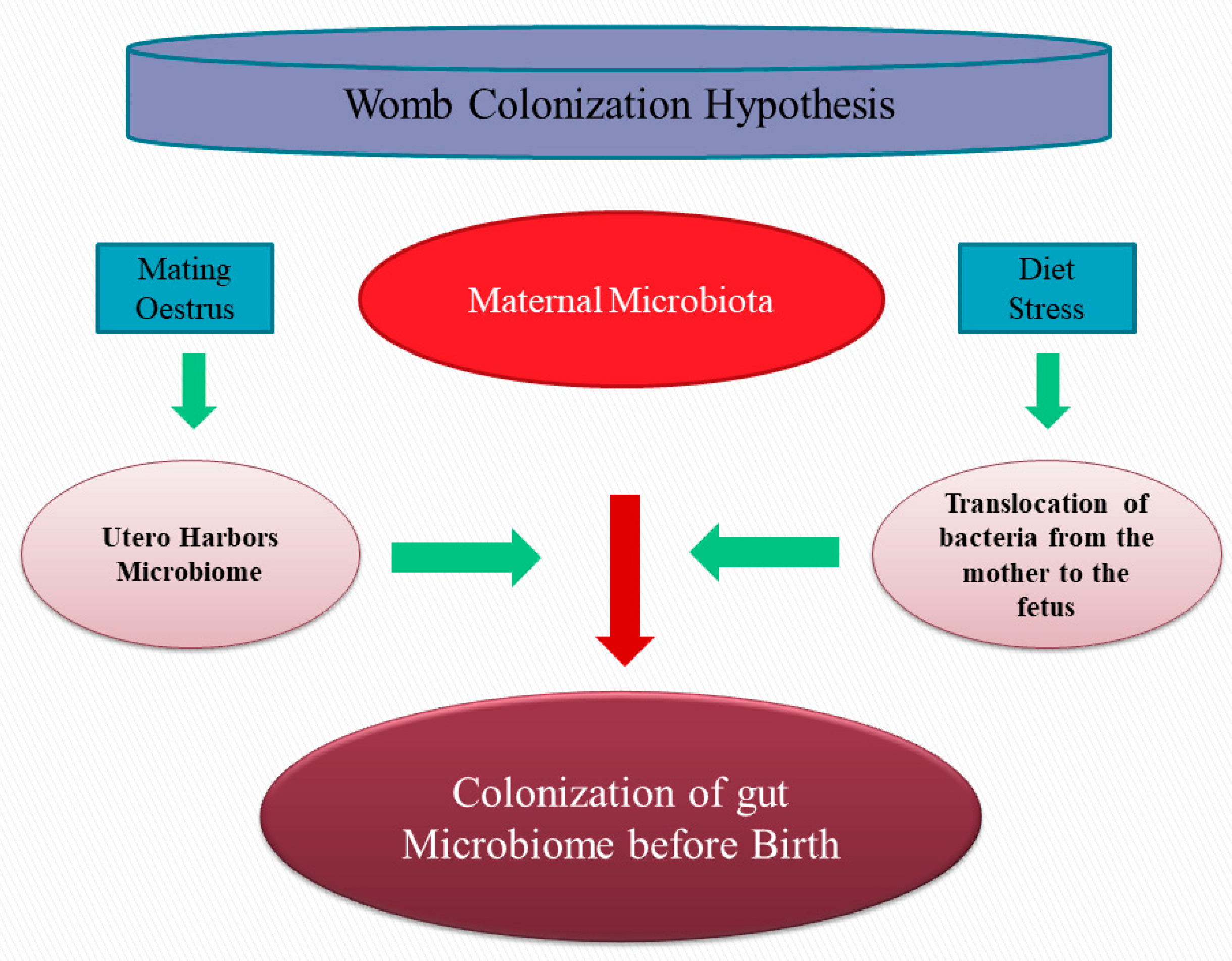 Animals 13 00578 g002 Animals 13 00578 g002