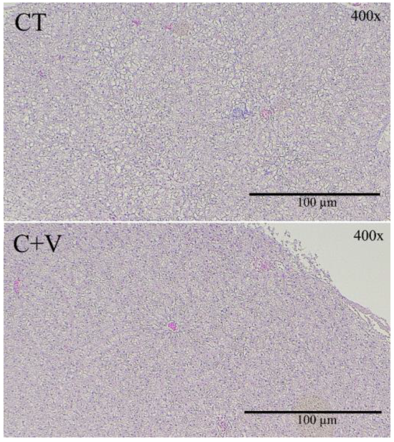 Animals 13 00589 g002 550