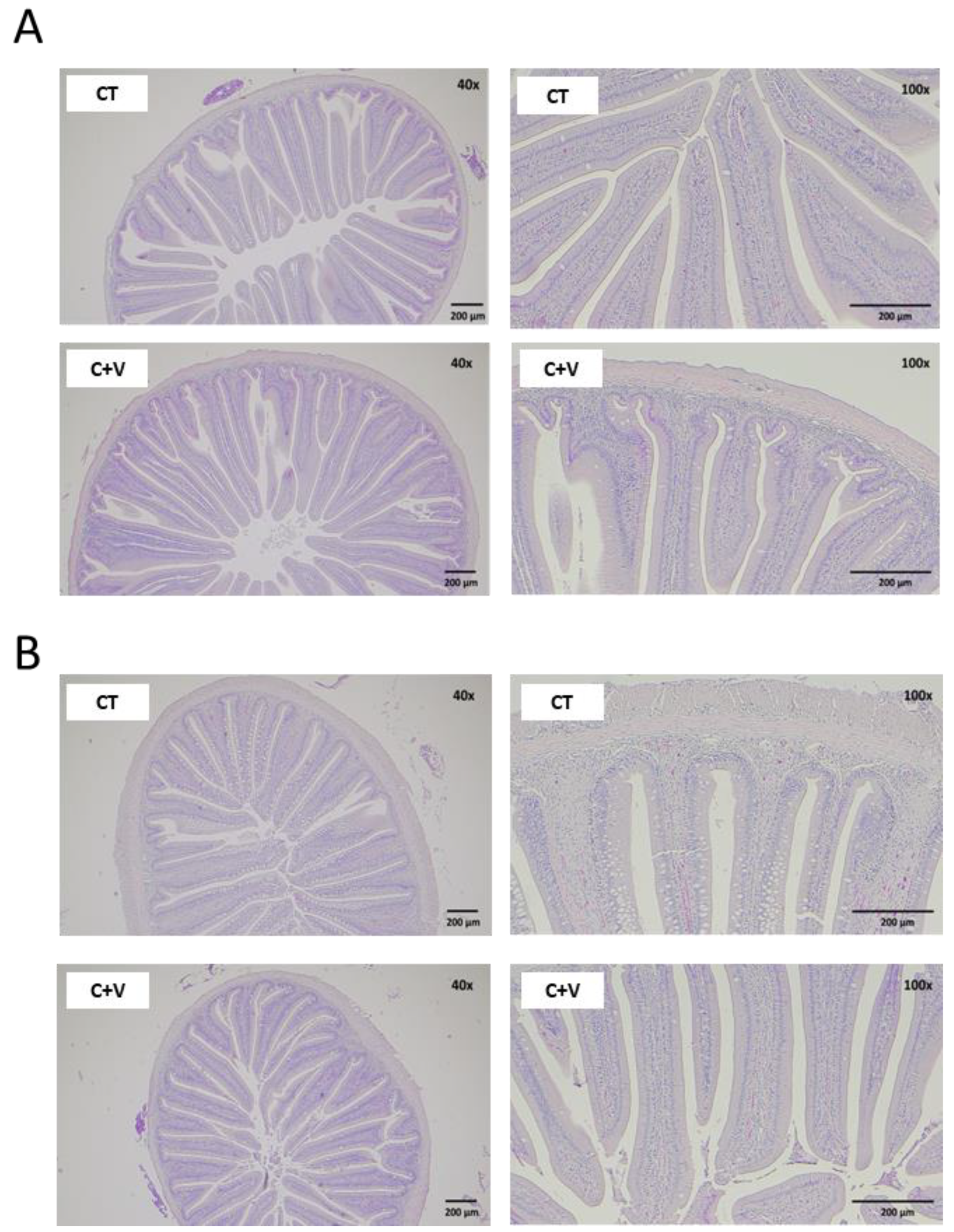 Animals 13 00589 g003 550