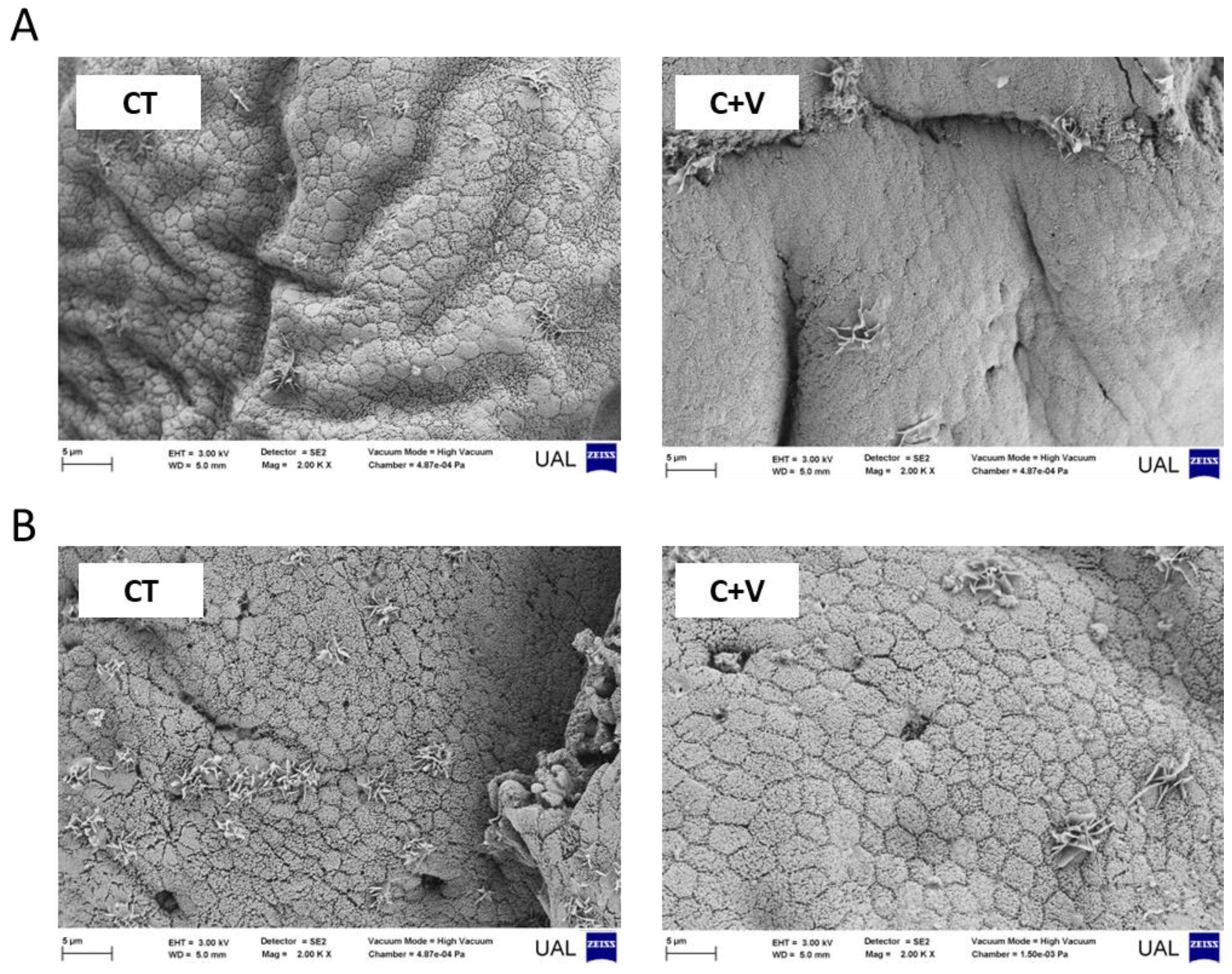 Animals 13 00589 g004 550