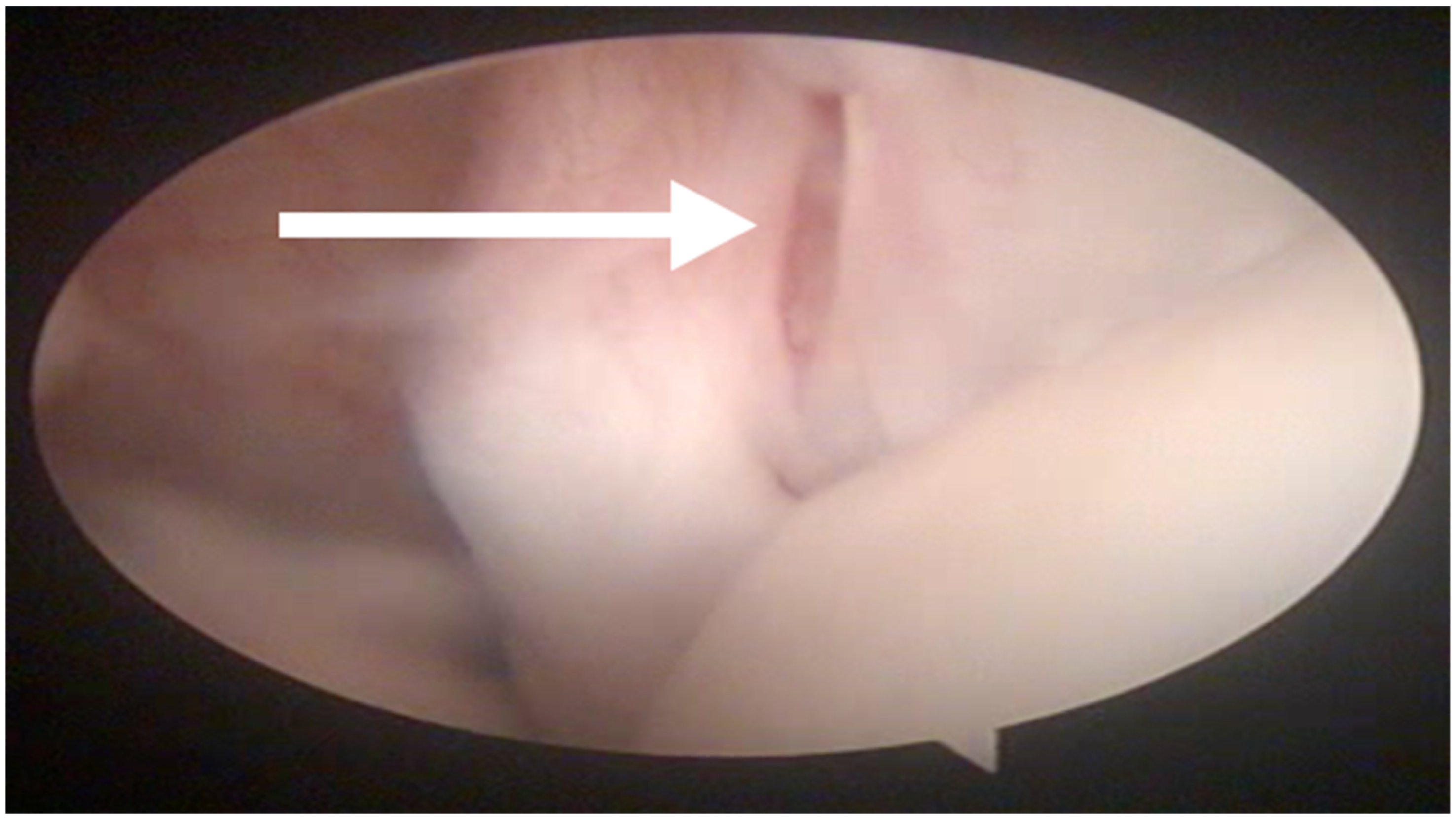 Animals 13 00592 g002 550