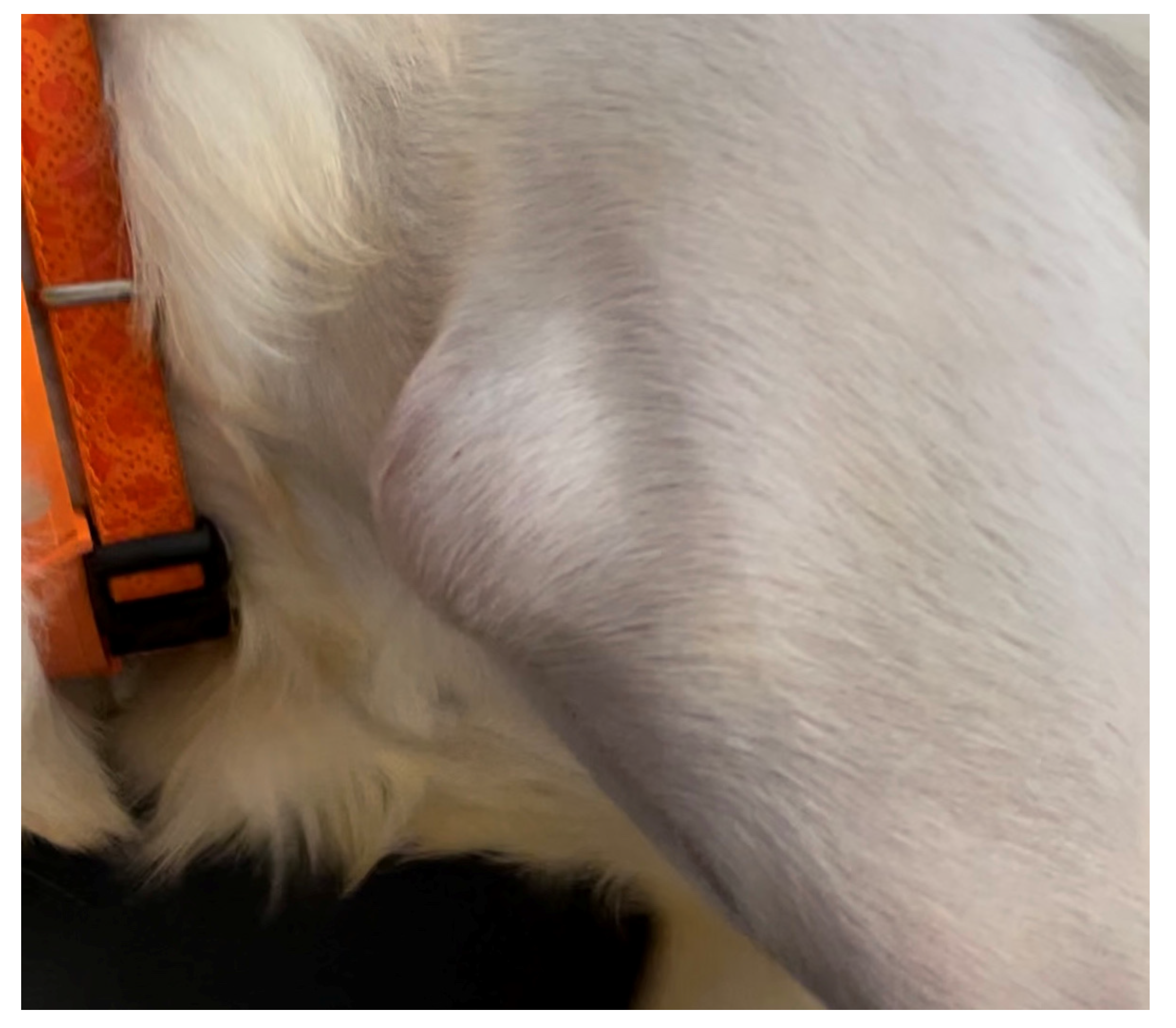 Animals 13 00592 g003 550