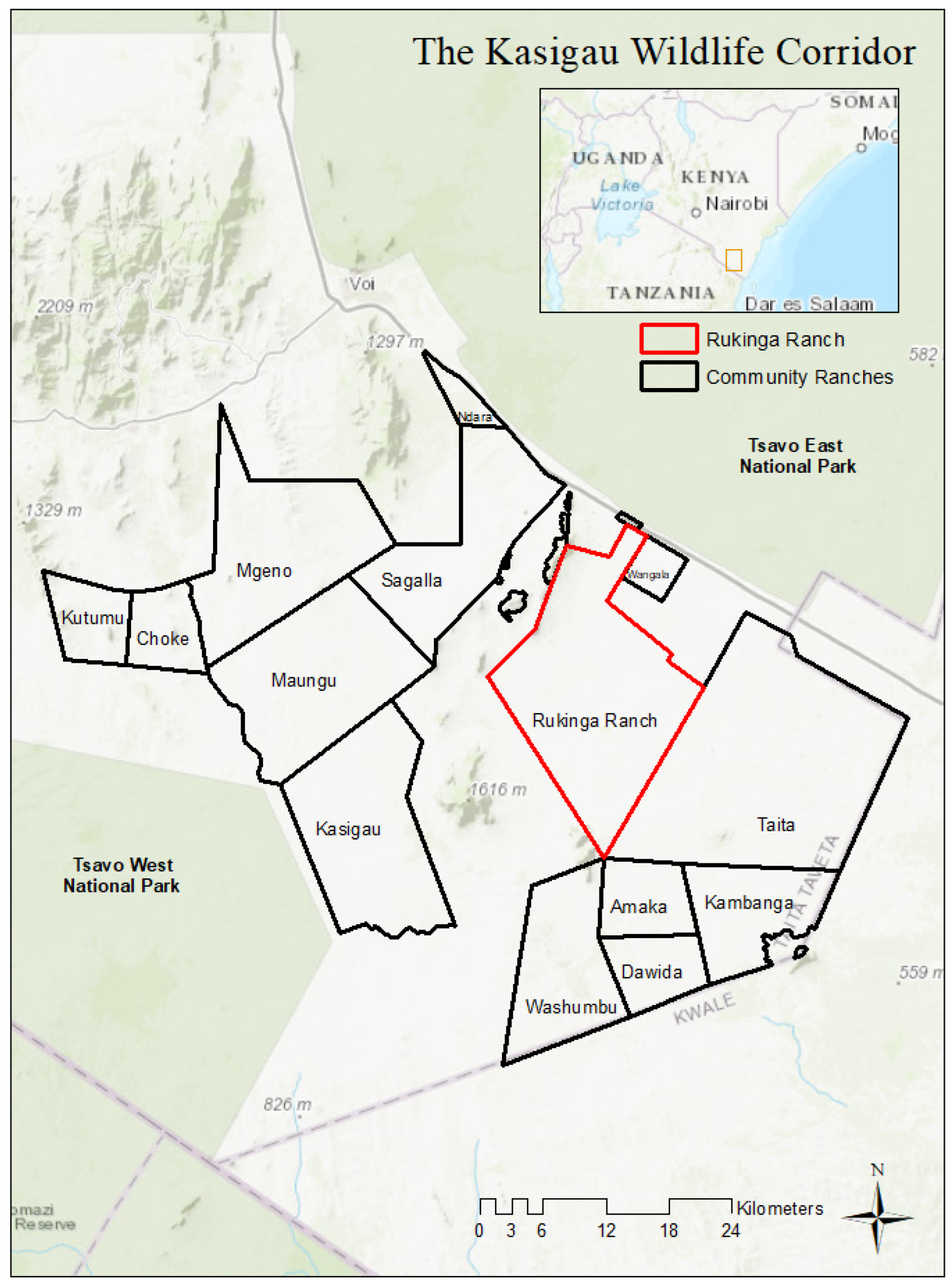 Animals 13 00605 g001