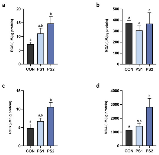 Subchronic Exposure to Polystyrene Microplastic Differently