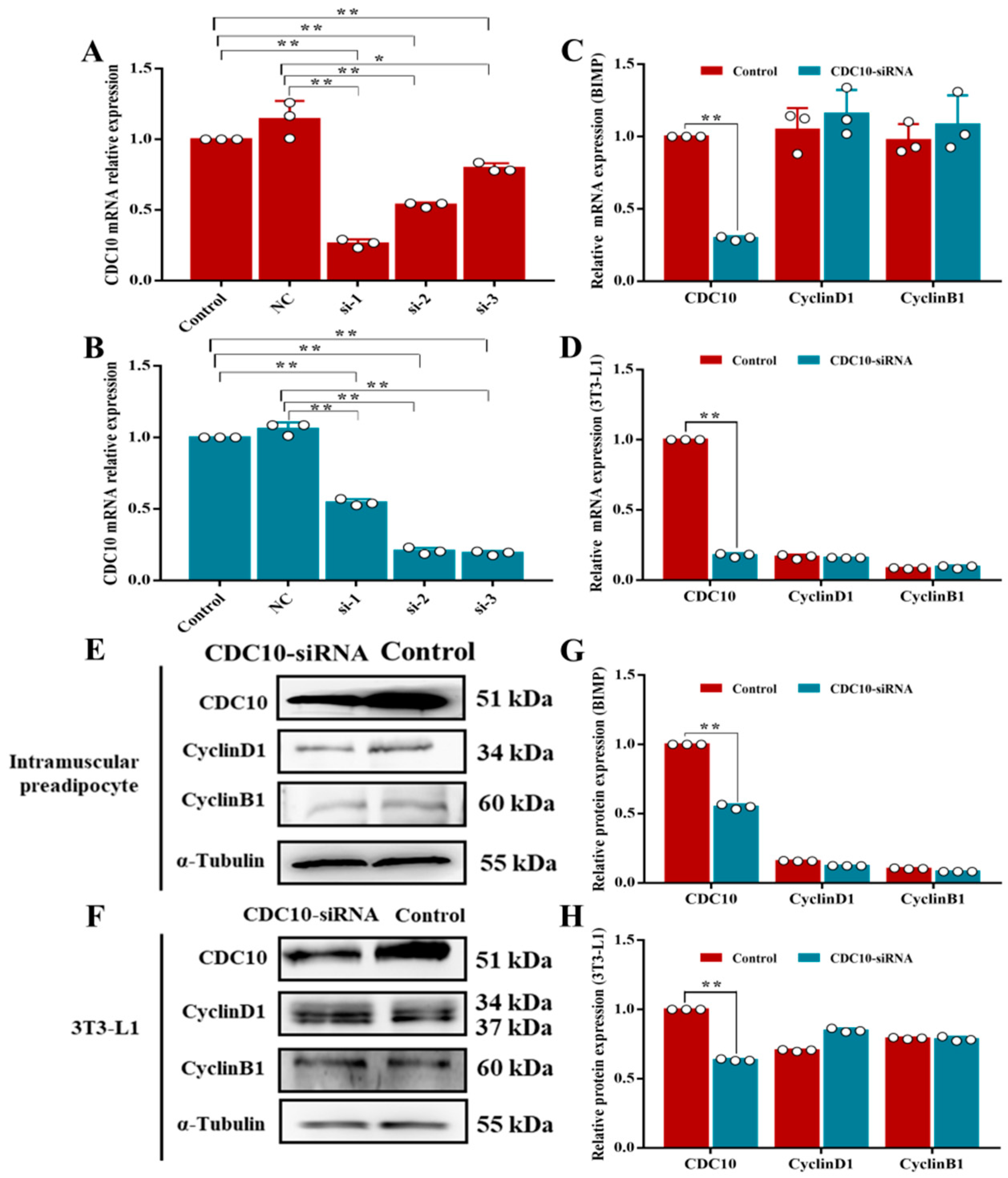 Animals 13 00609 g003 Animals 13 00609 g003