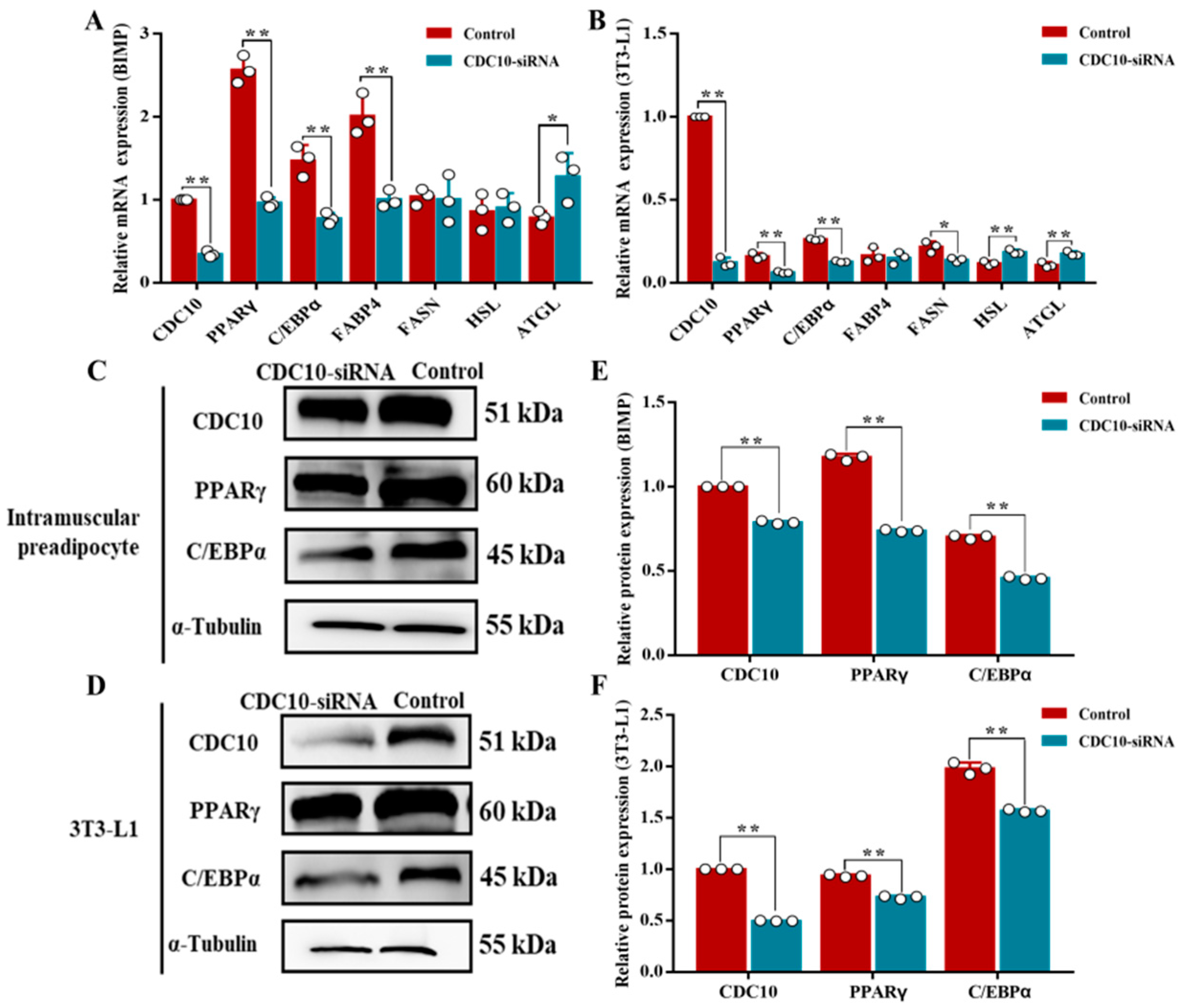Animals 13 00609 g008 Animals 13 00609 g008
