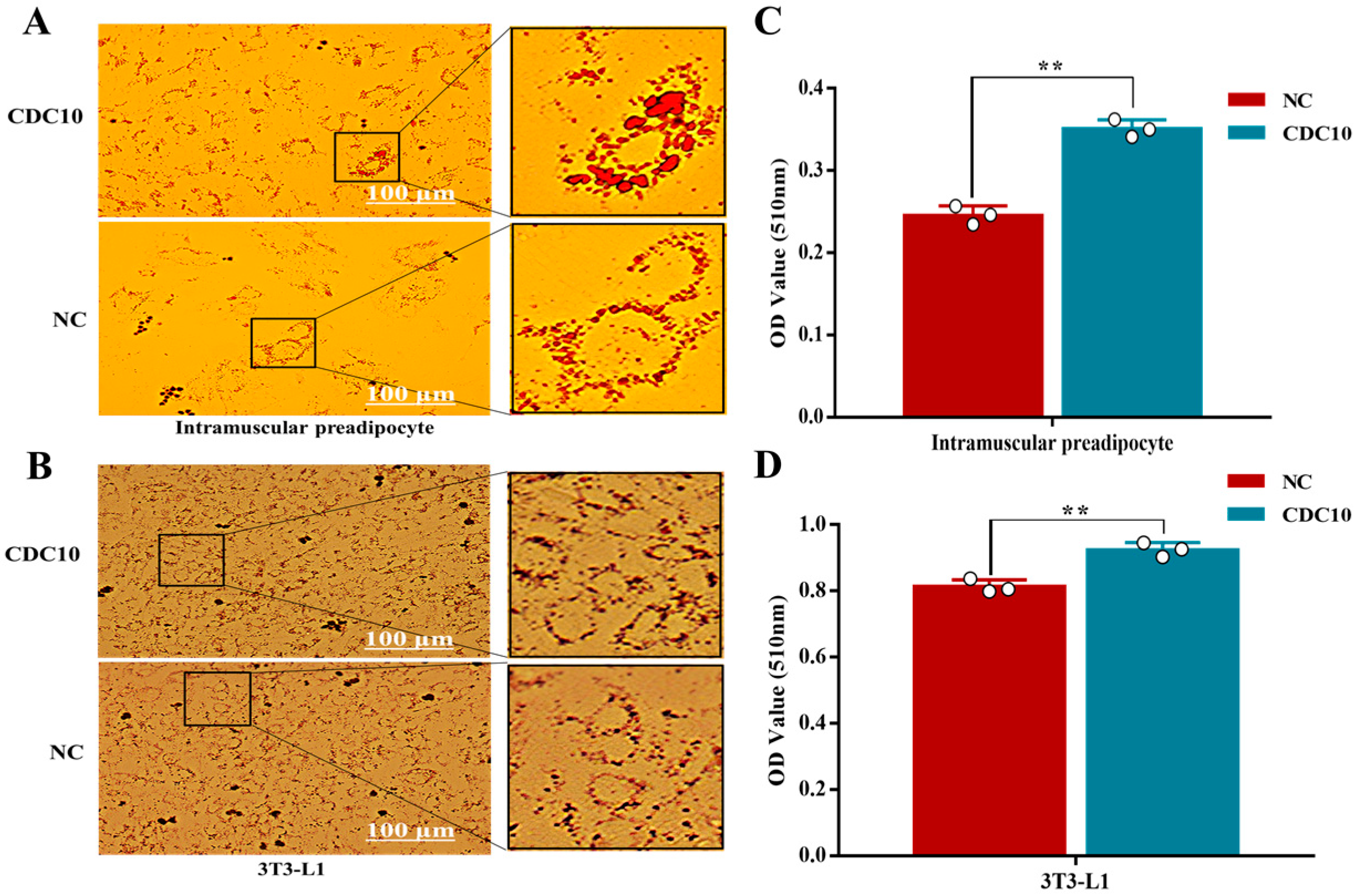 Animals 13 00609 g009 Animals 13 00609 g009