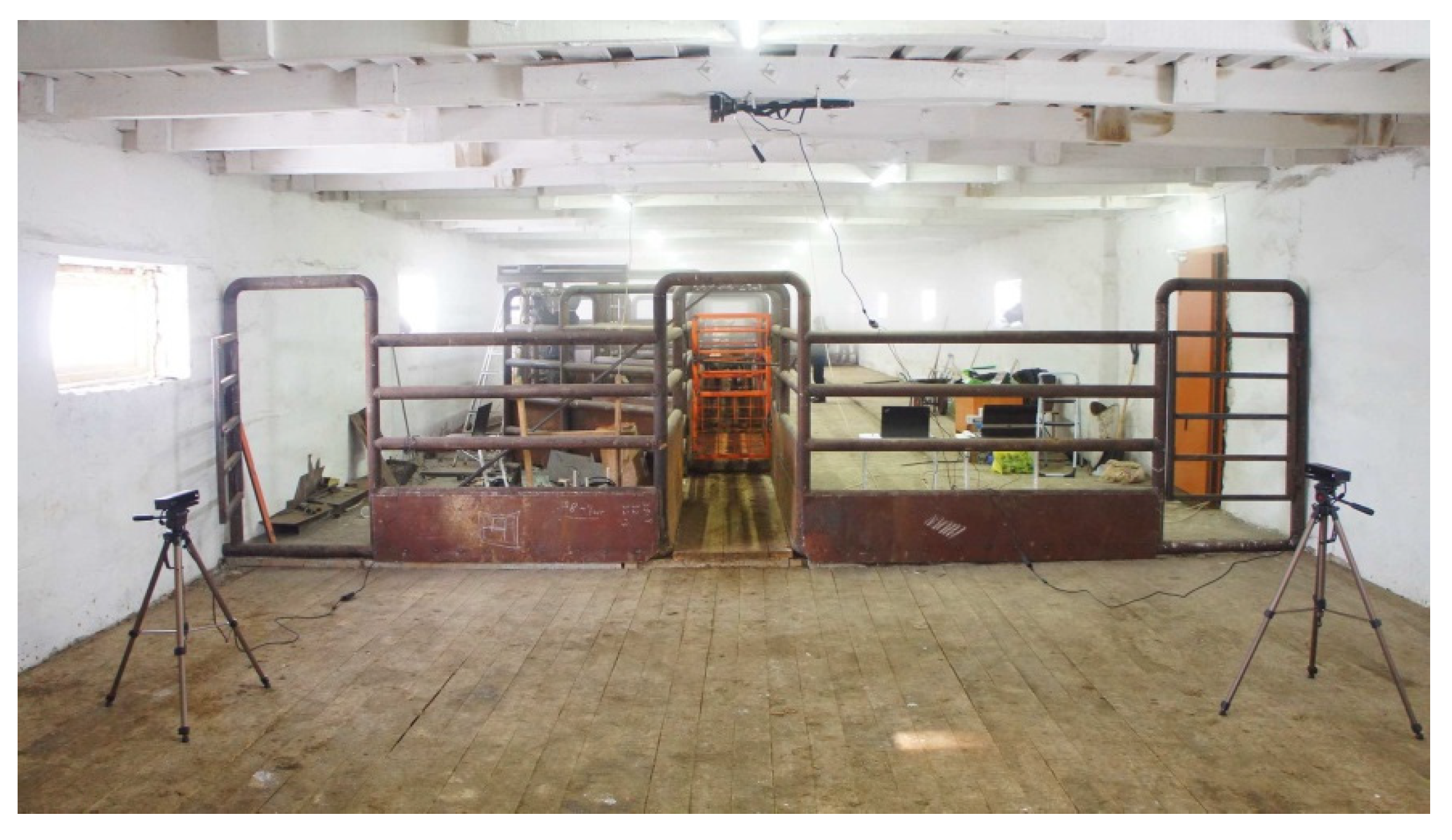 Animals 13 00611 g003