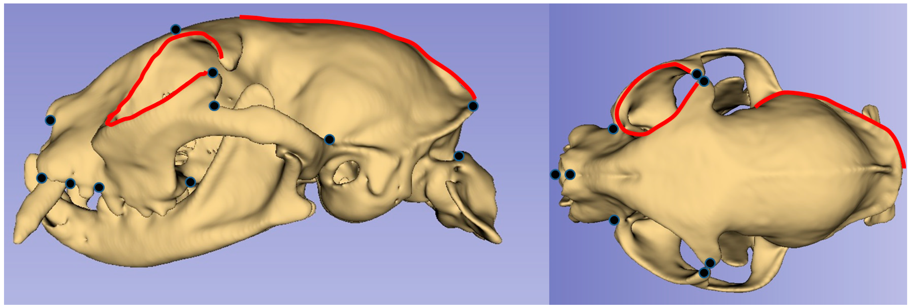 Animals 13 00614 g001 550