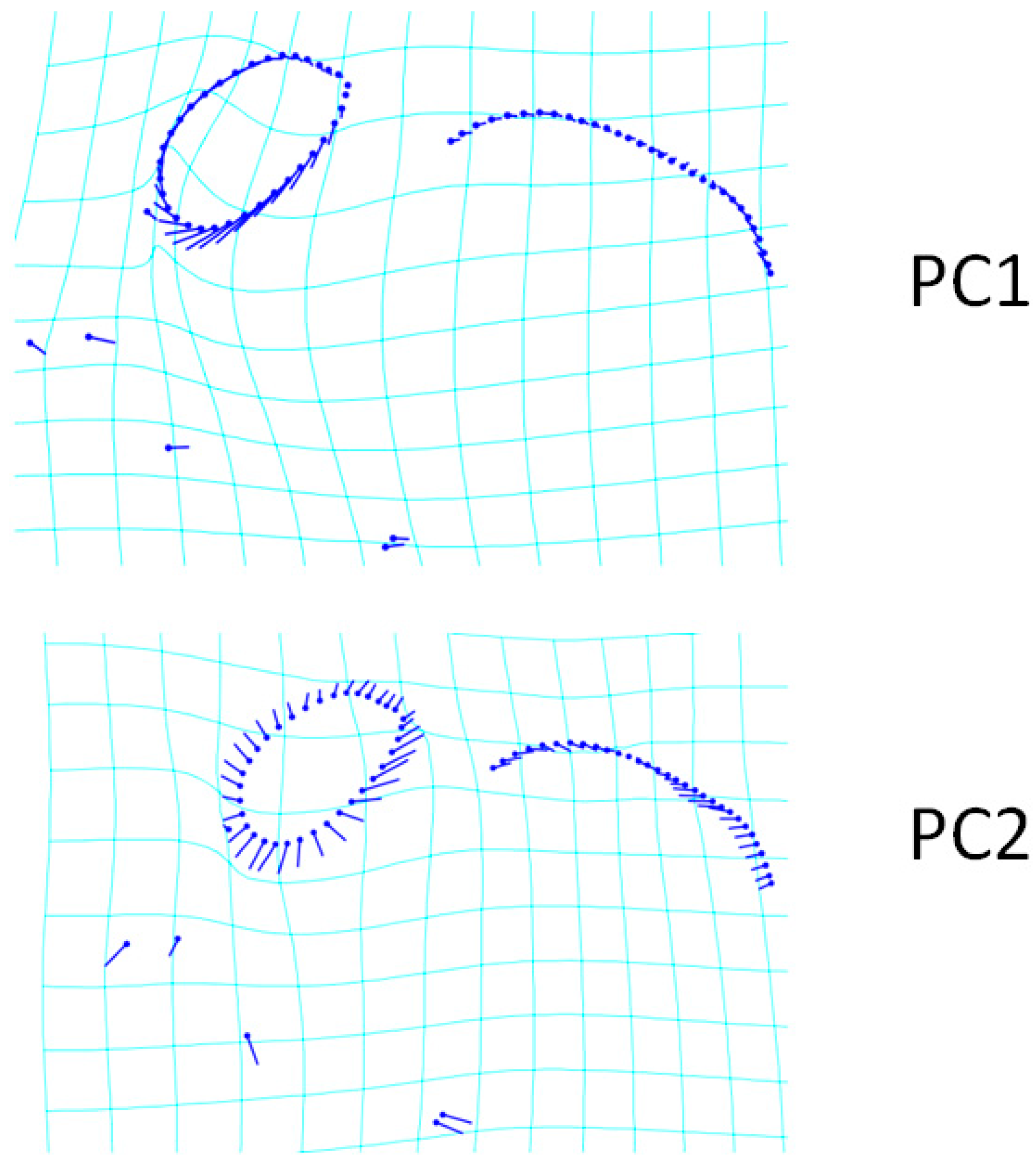 Animals 13 00614 g002 550