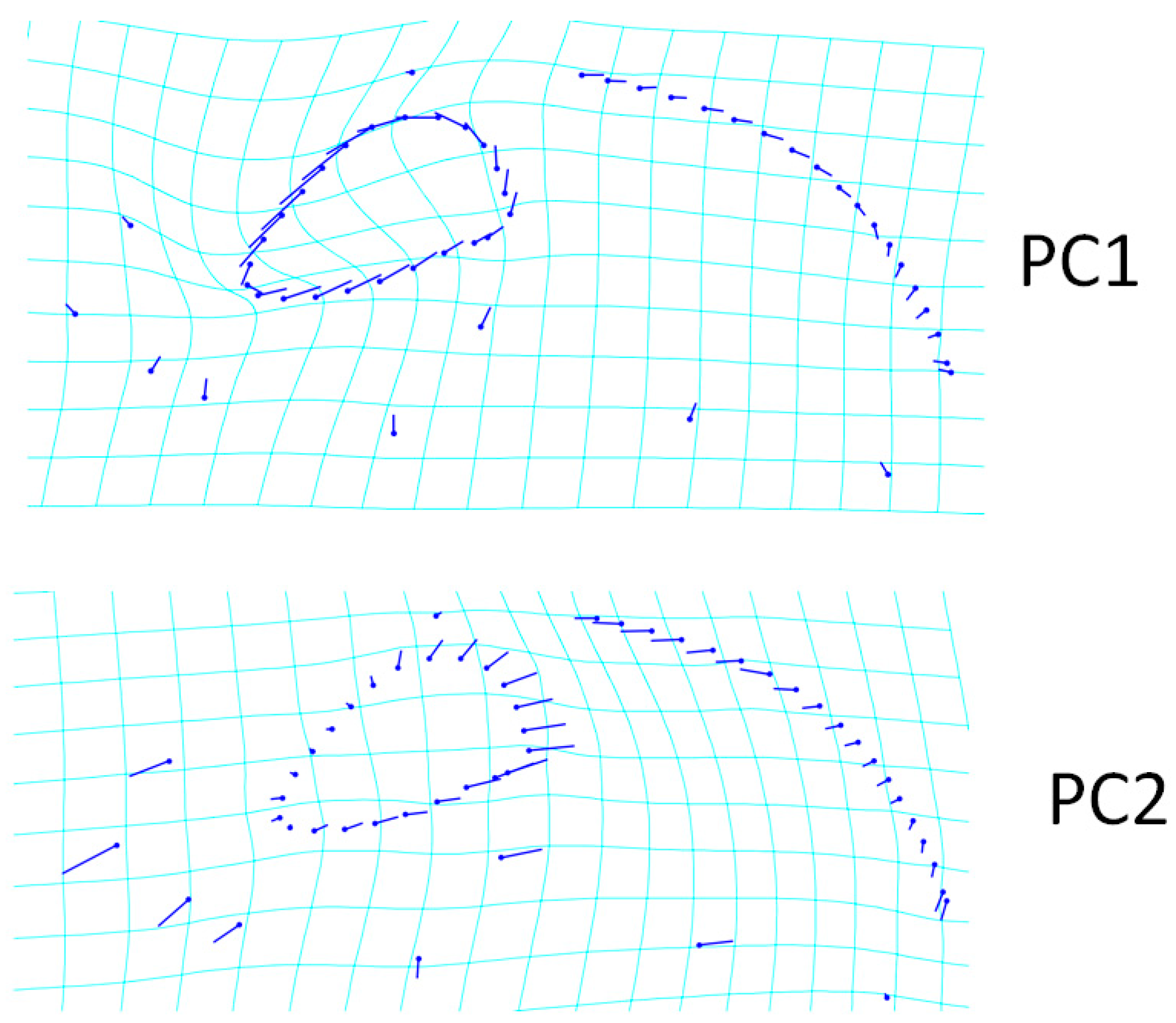 Animals 13 00614 g003 550