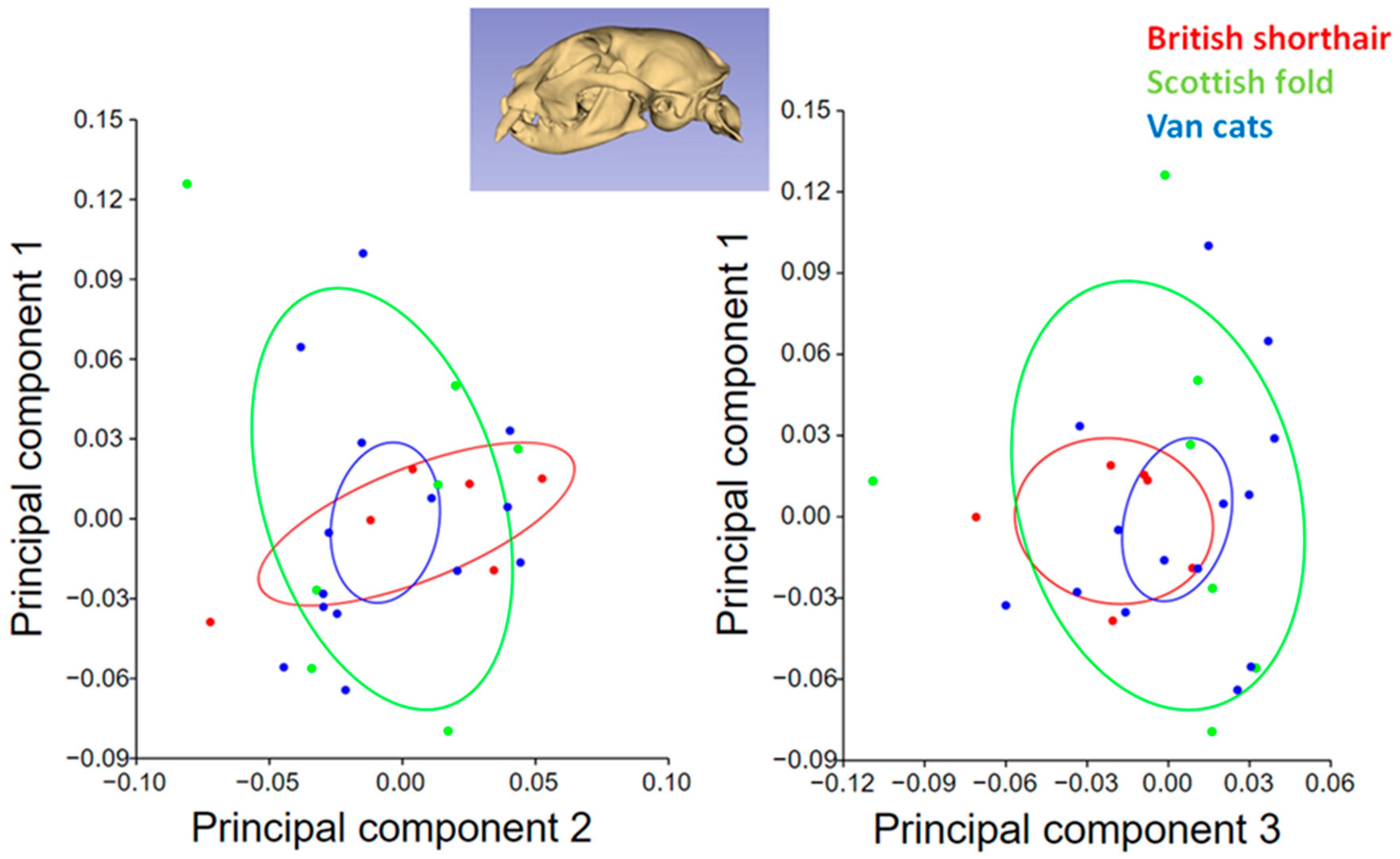 Animals 13 00614 g005 550