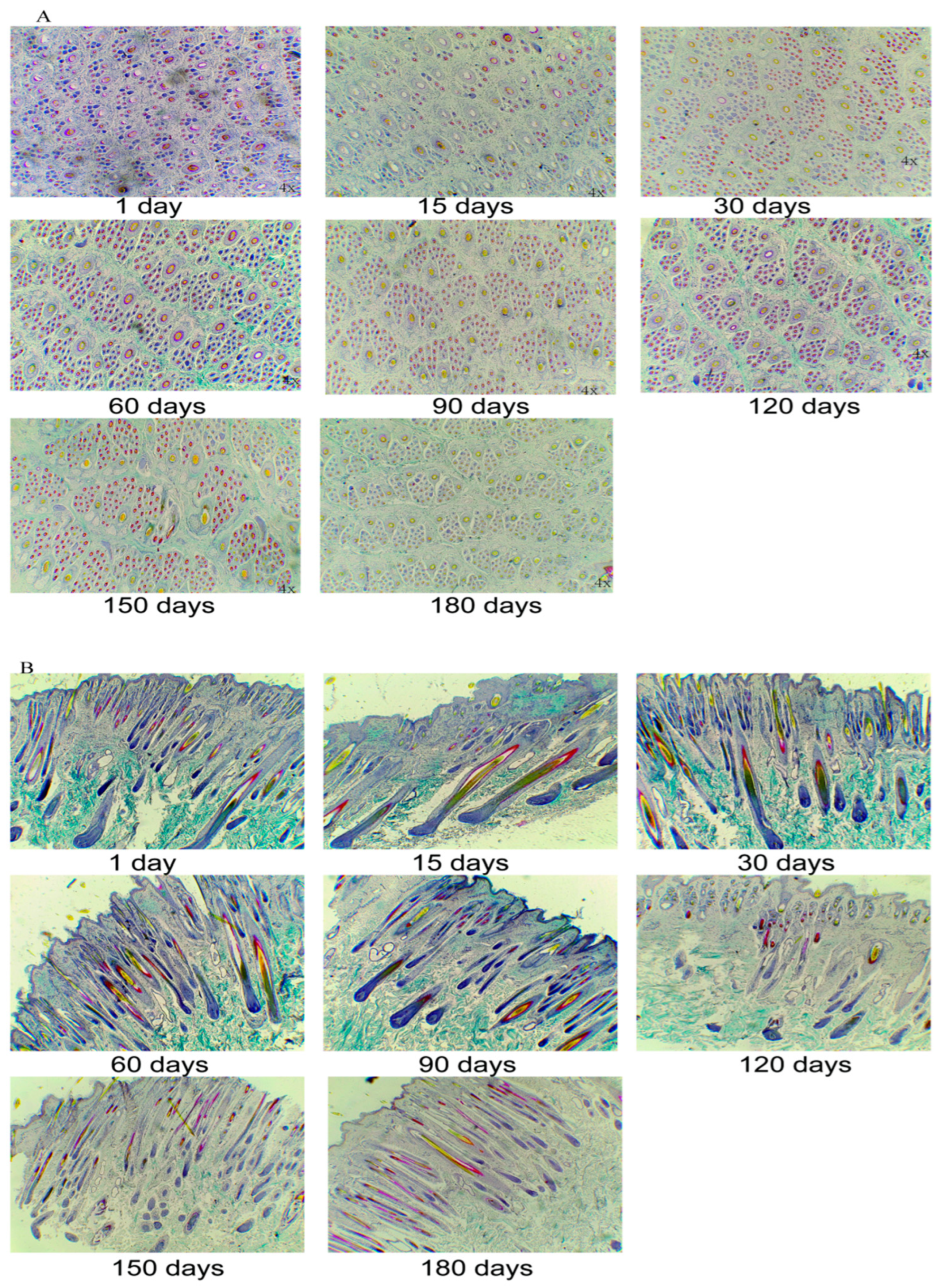 Animals 13 00617 g001