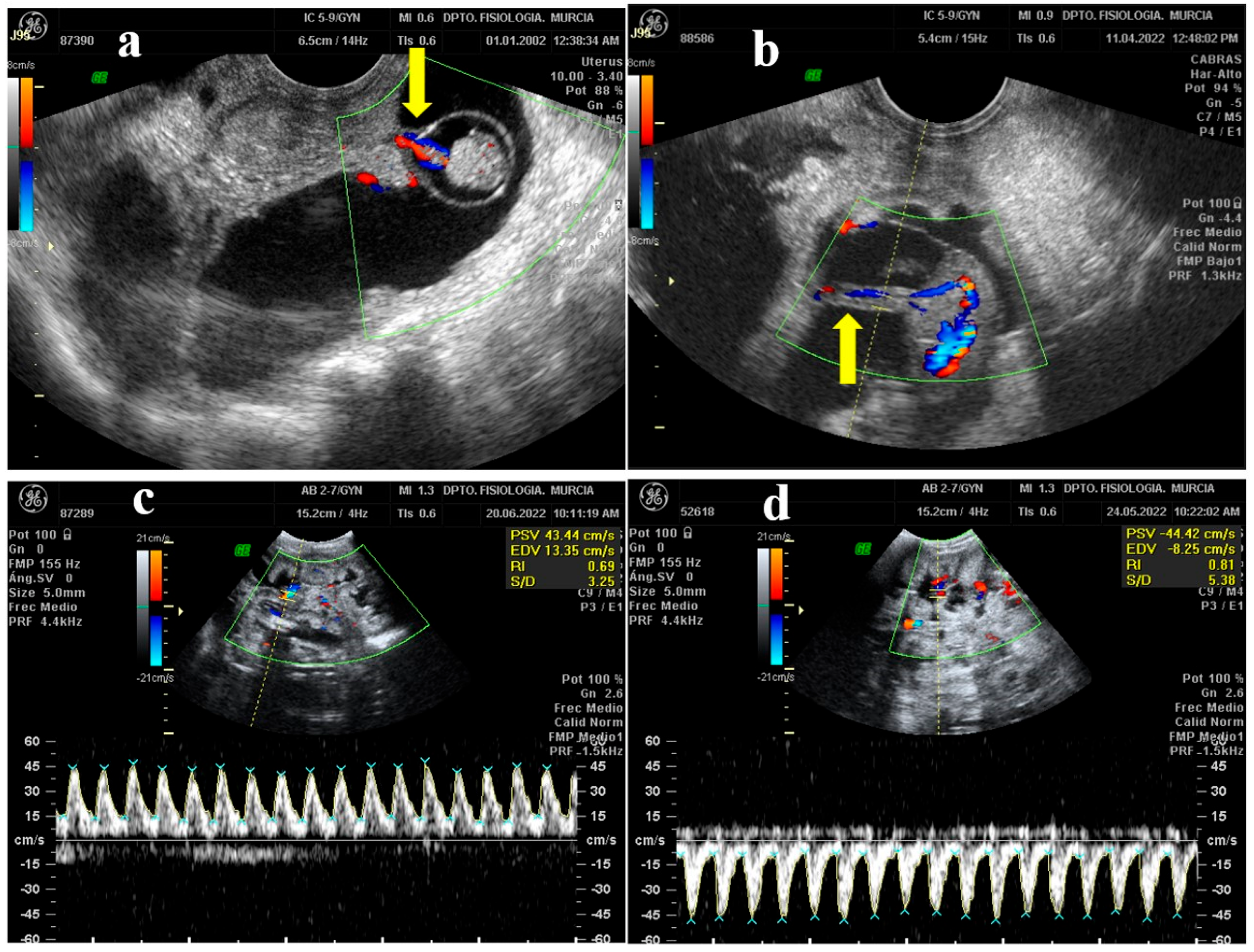Animals 13 00618 g002