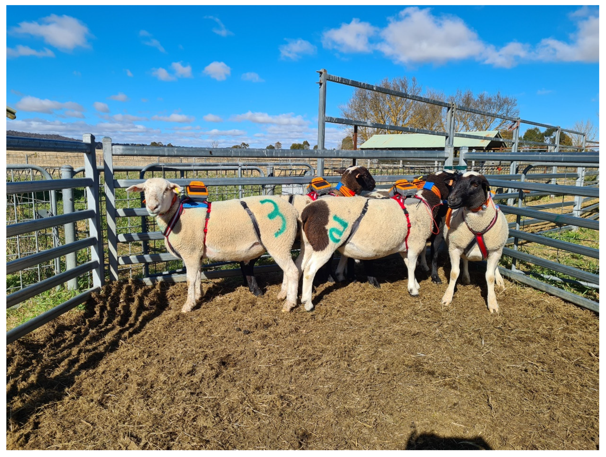 Animals 13 00619 g001 Animals 13 00619 g001