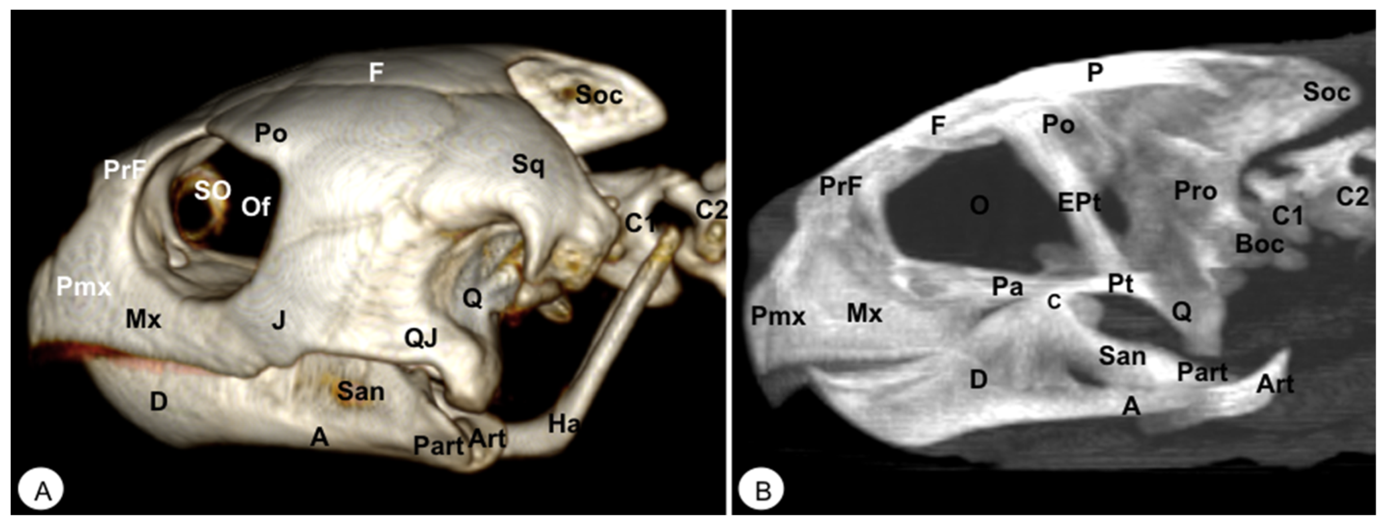 Animals 13 00621 g003