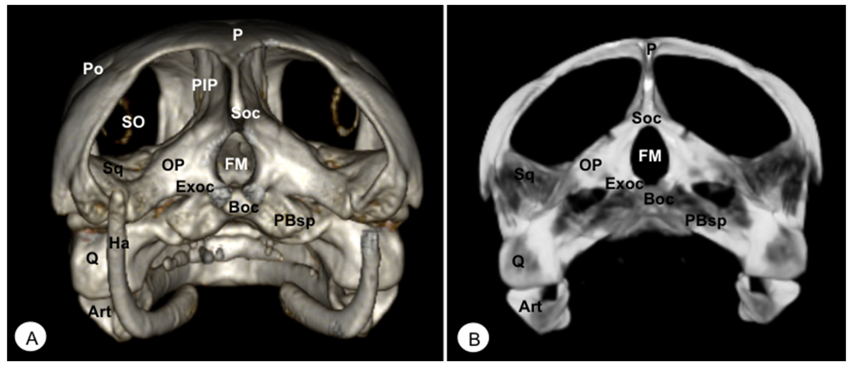Animals 13 00621 g006