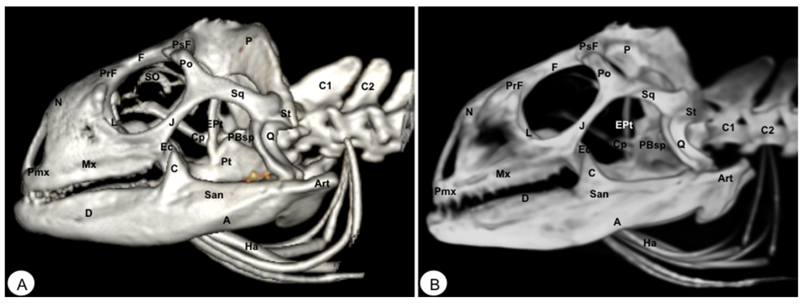 Animals 13 00621 g008