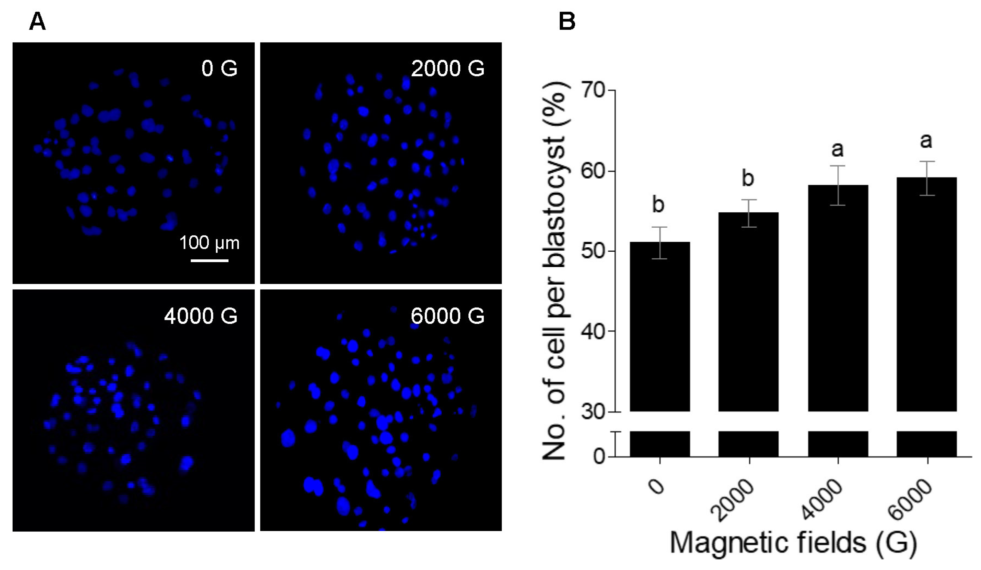 Animals 13 00634 g003 Animals 13 00634 g003