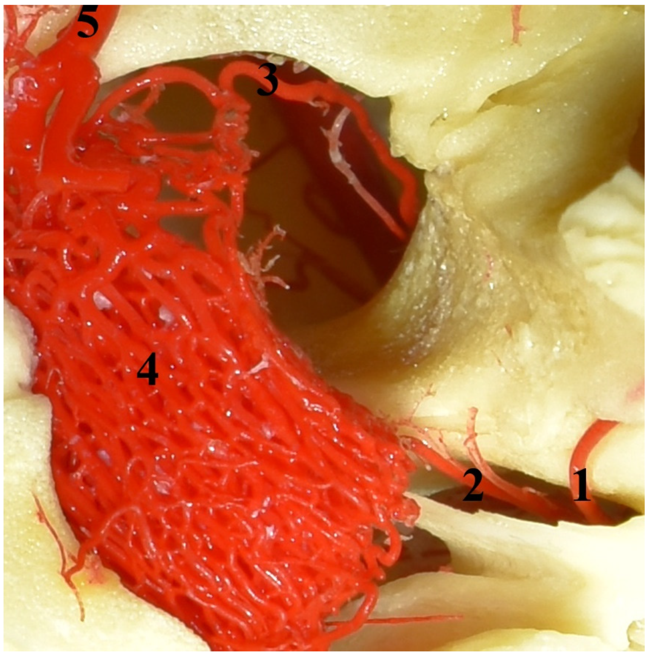 Animals 13 00644 g002