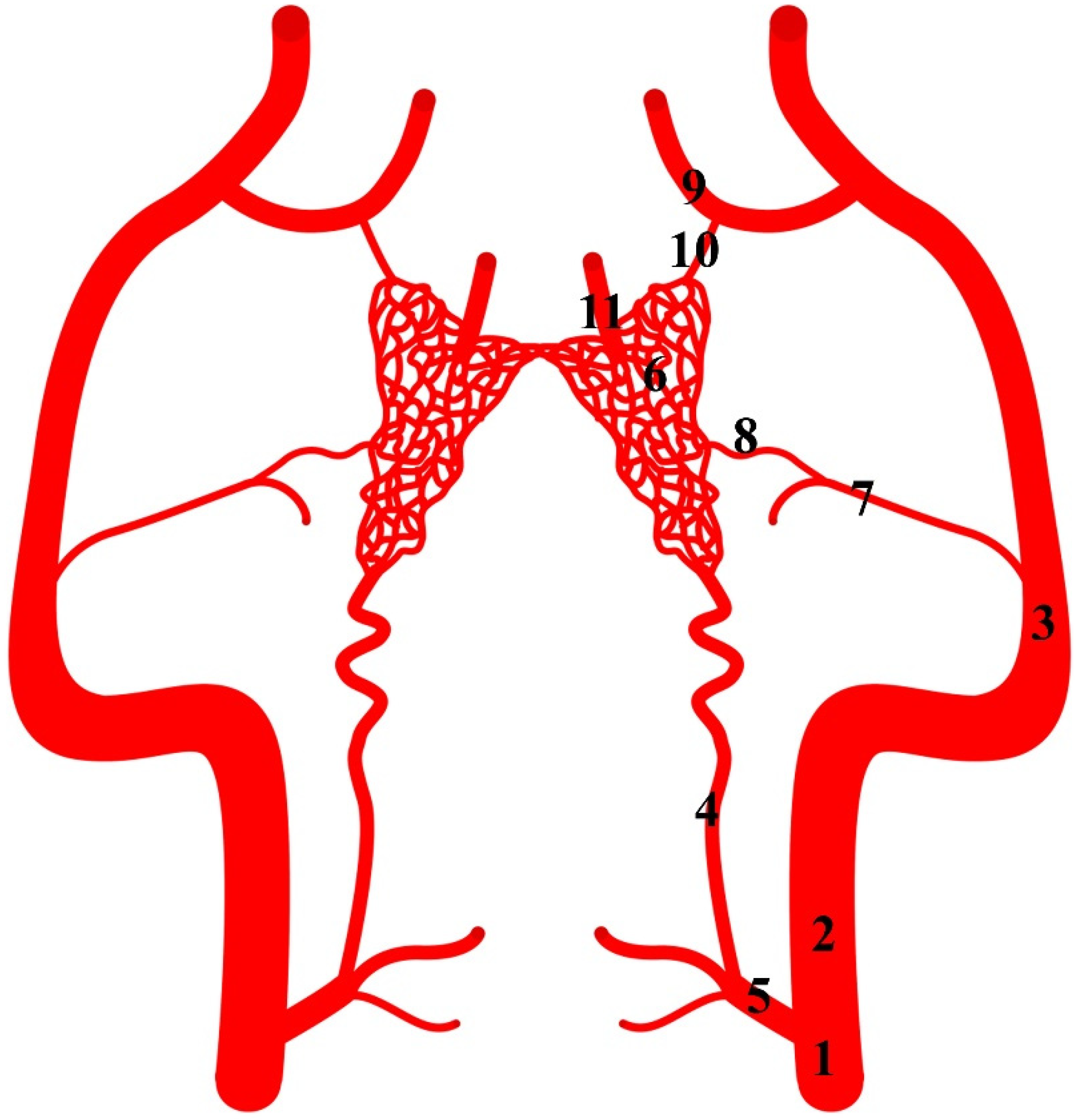 Animals 13 00644 g005