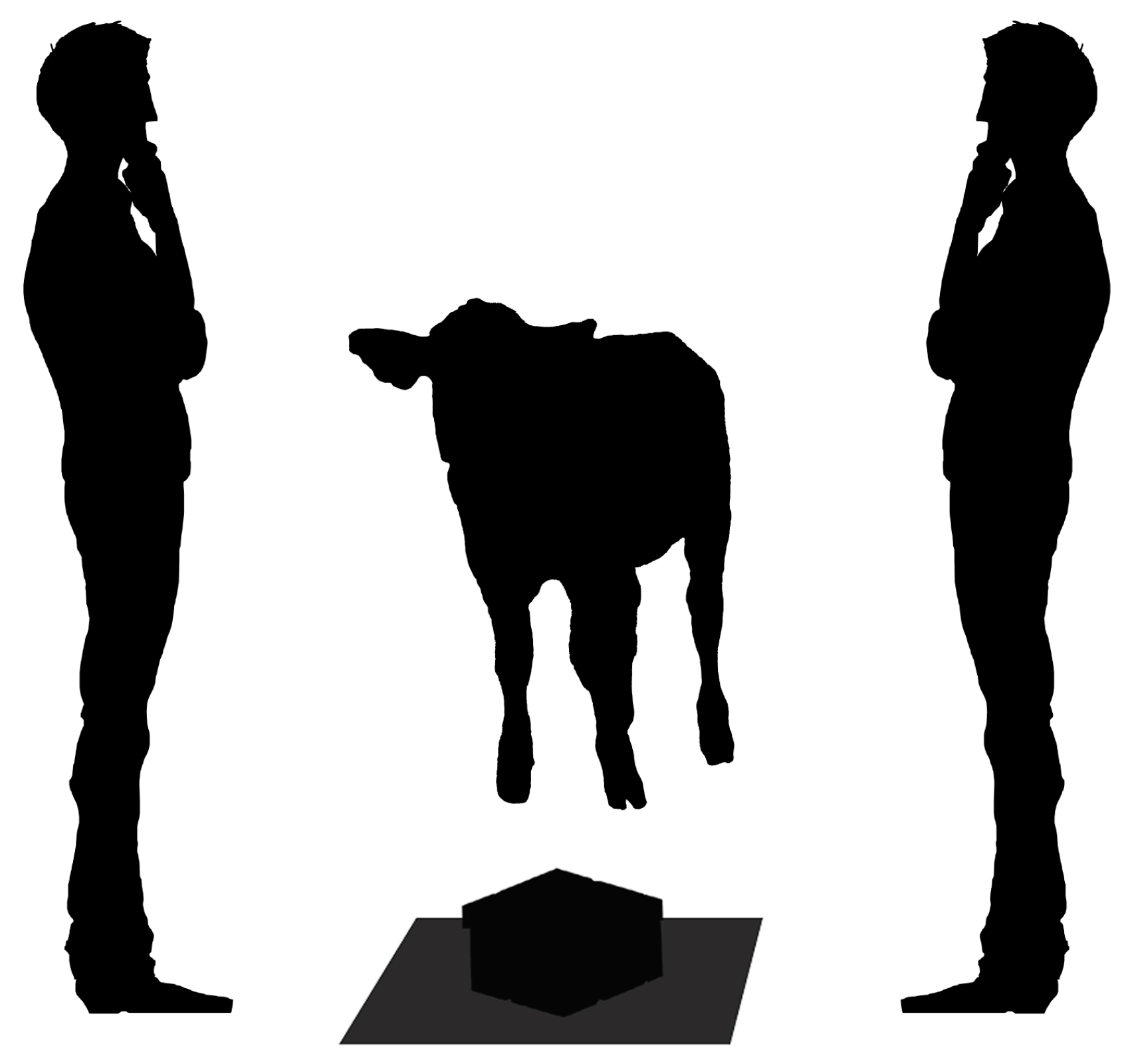 Animals 13 00646 g001 Animals 13 00646 g001