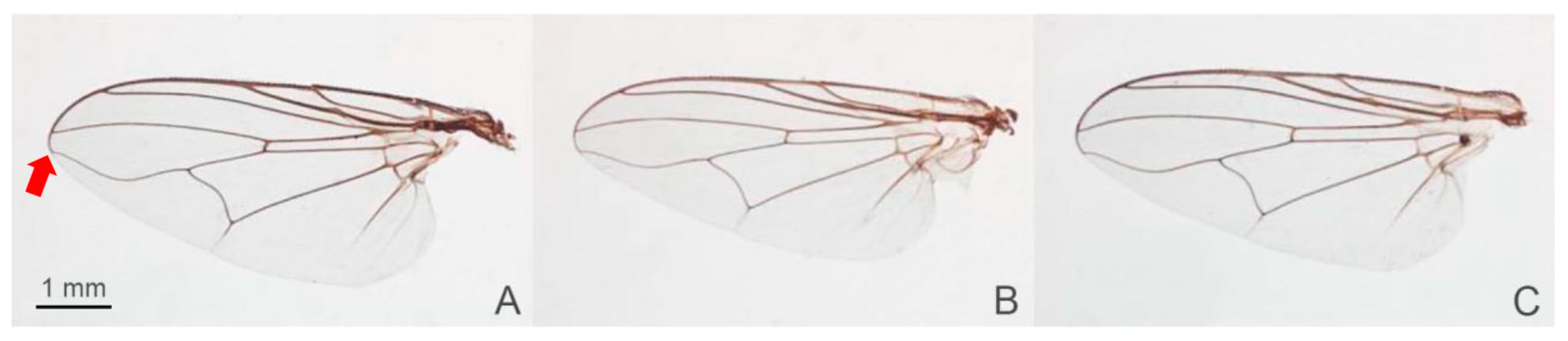 Animals 13 00647 g003 Animals 13 00647 g003