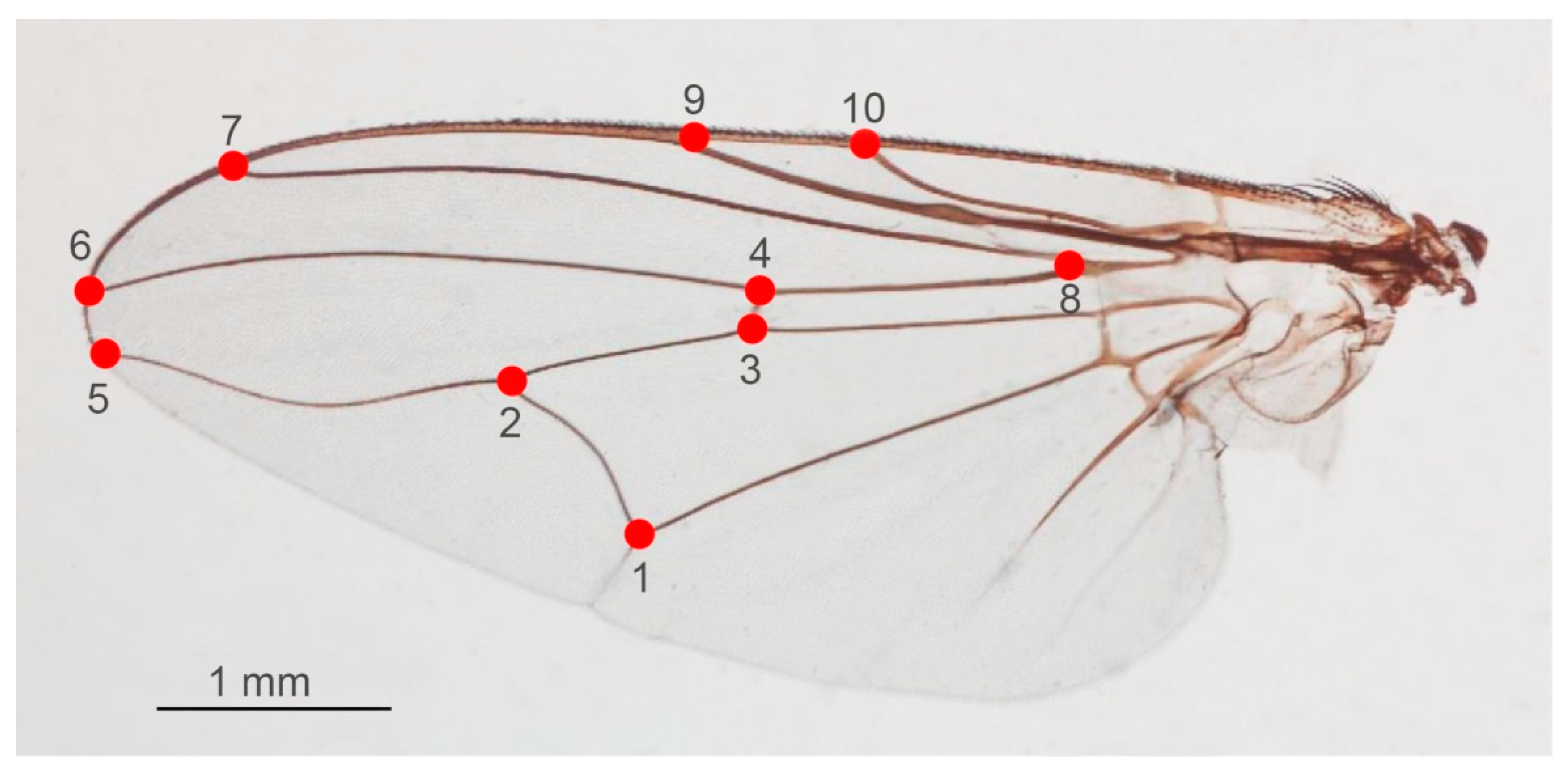 Animals 13 00647 g006 Animals 13 00647 g006