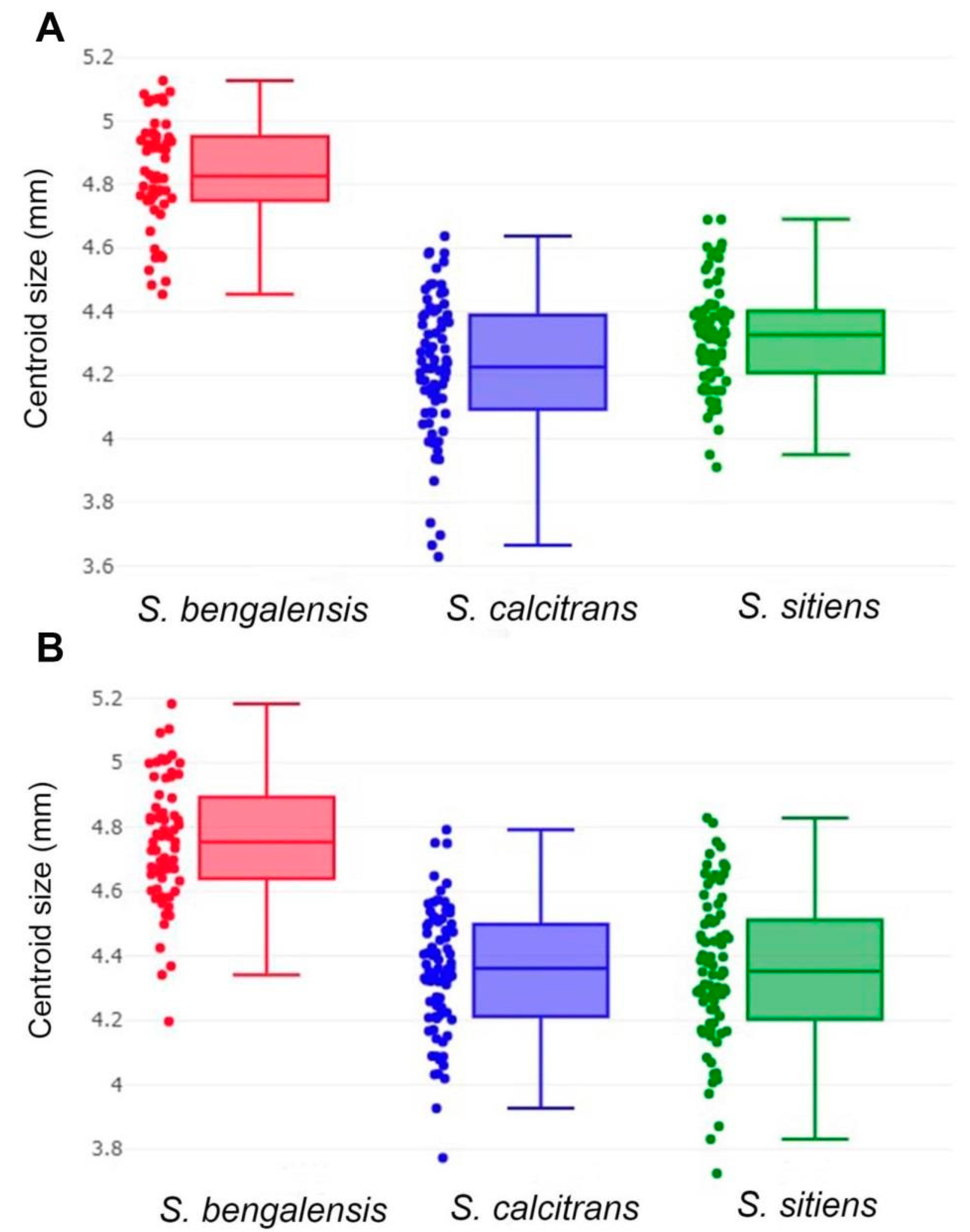 Animals 13 00647 g007 Animals 13 00647 g007