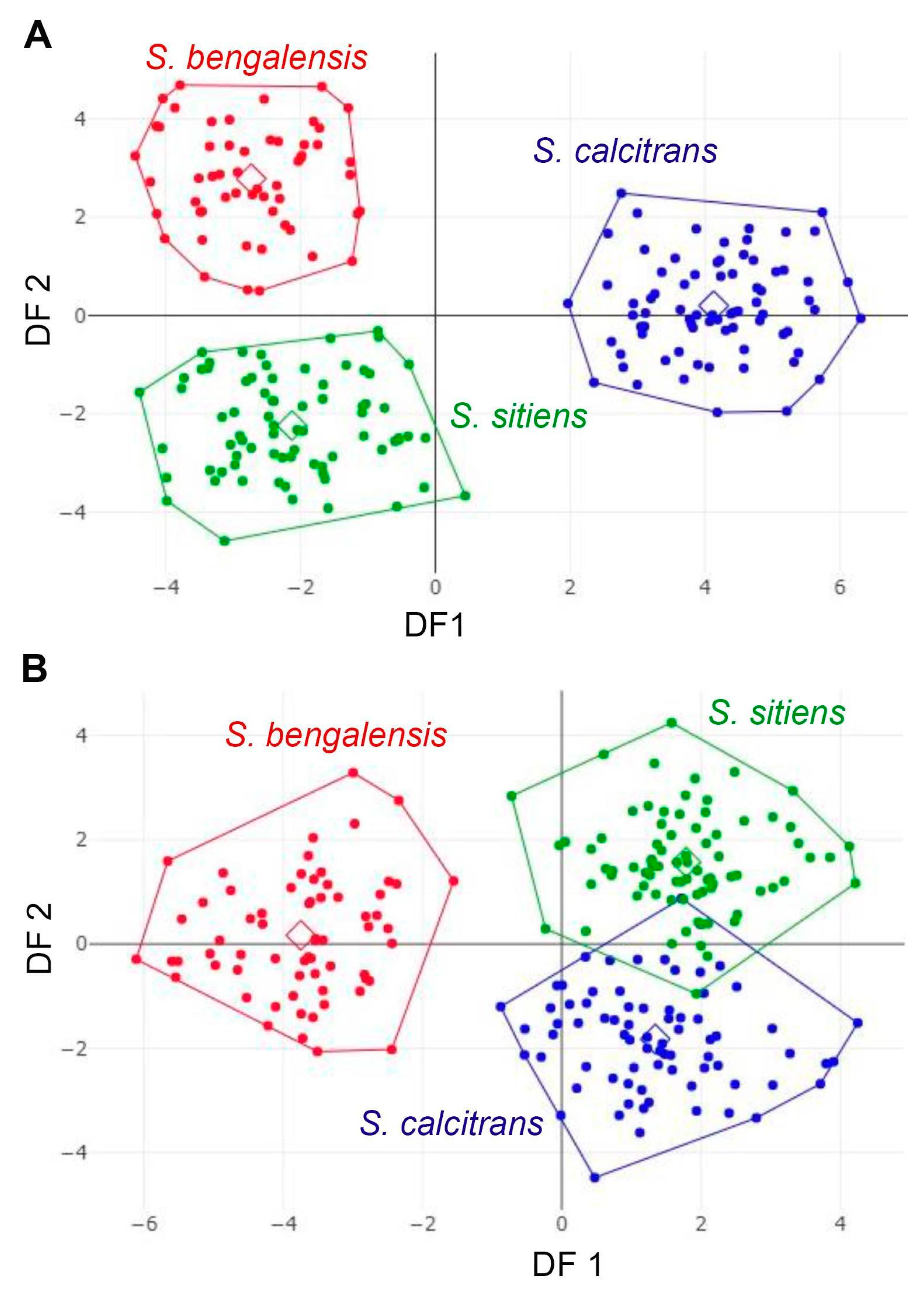 Animals 13 00647 g009 Animals 13 00647 g009