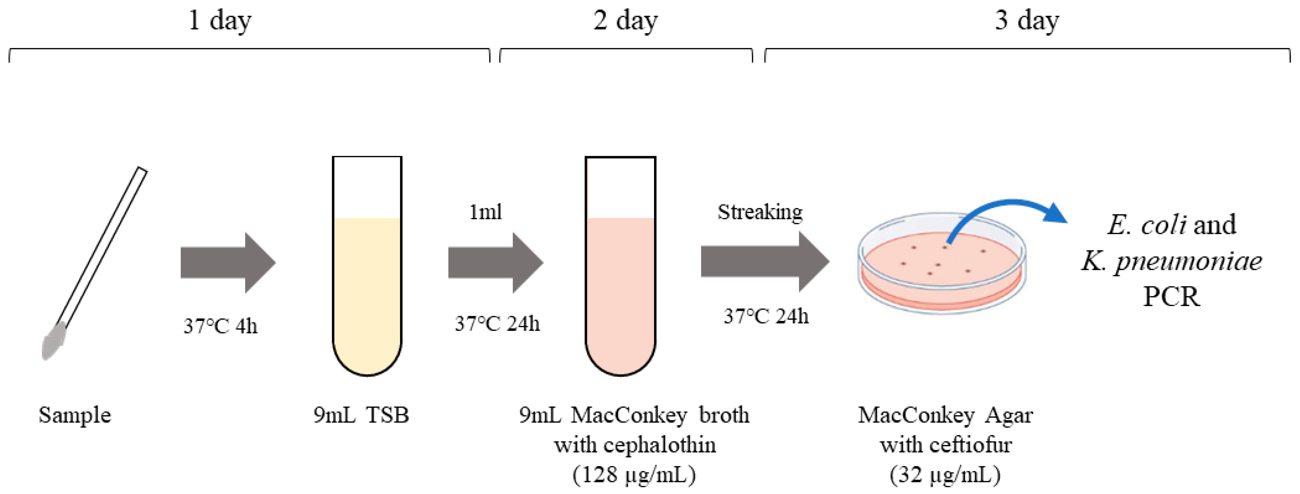 Animals Free FullText Development of a Method for the Fast