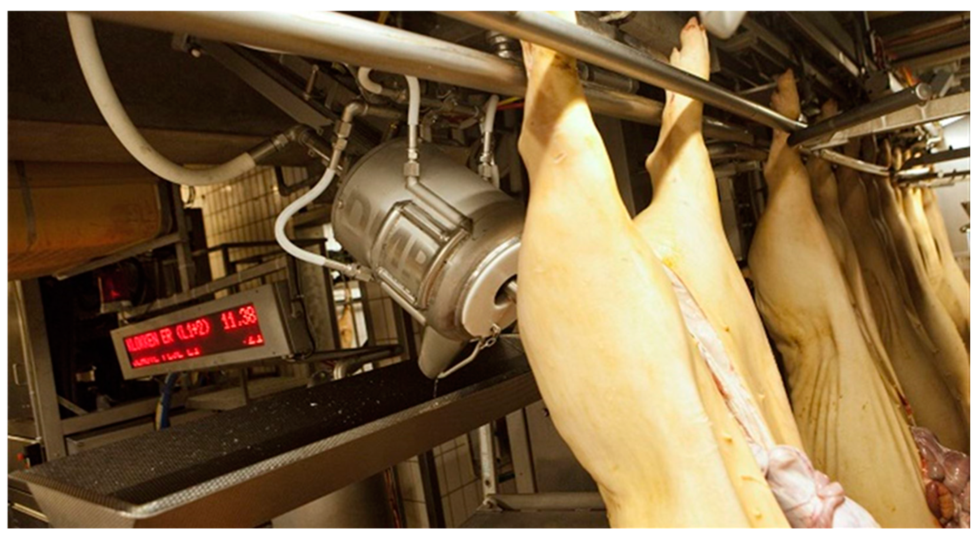 Animals 13 00651 g002