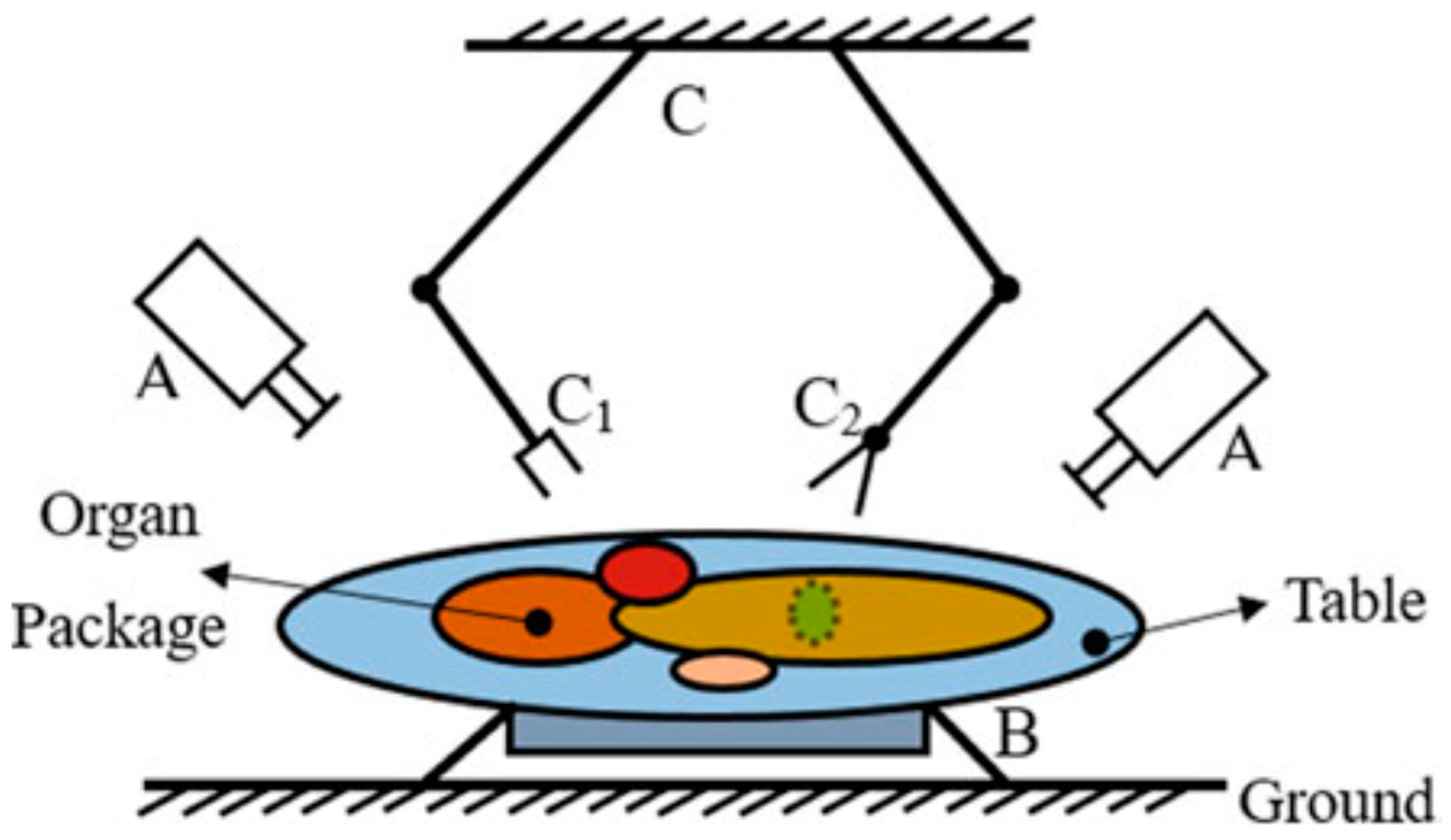 Animals 13 00651 g003