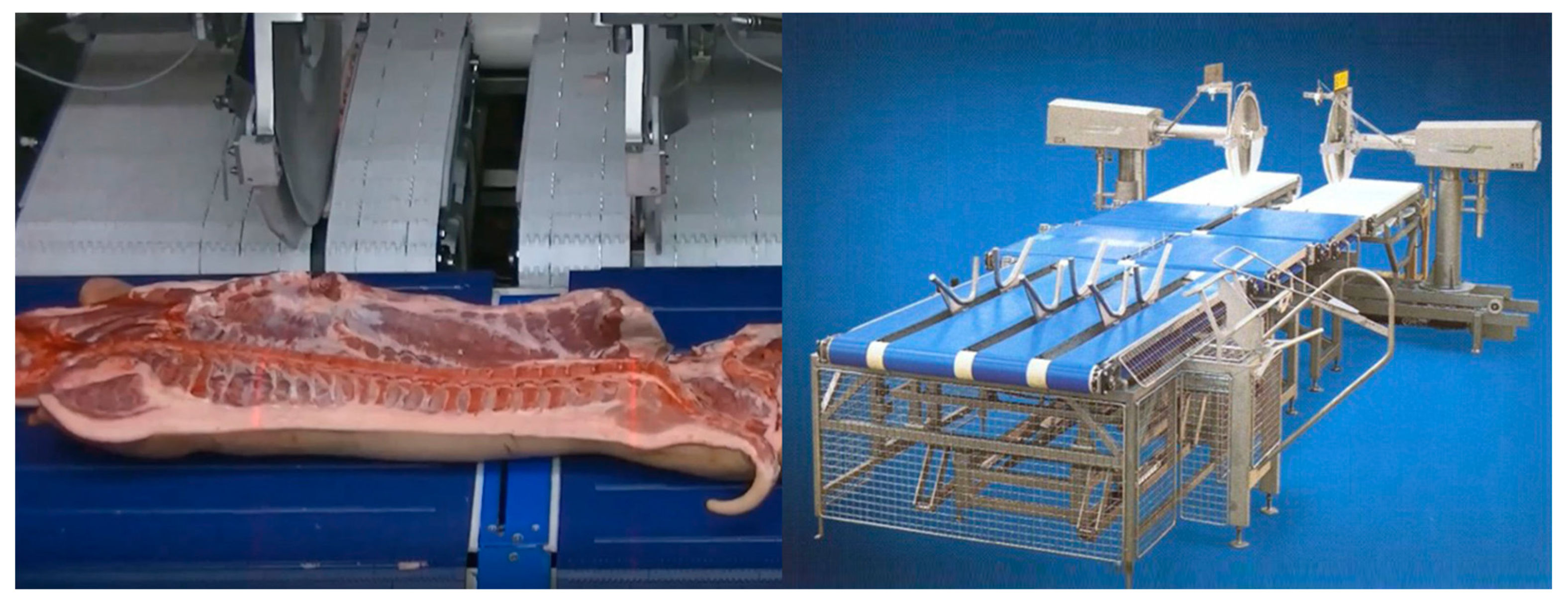 Animals 13 00651 g006