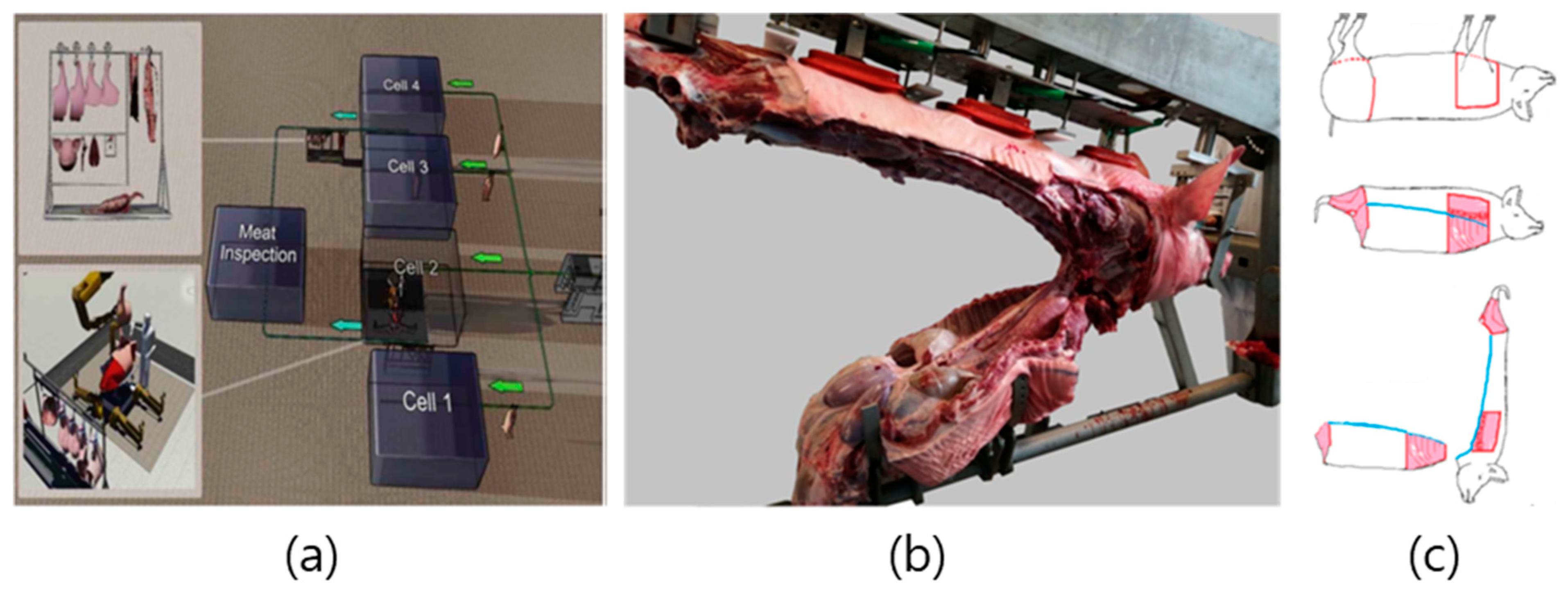 Animals 13 00651 g009