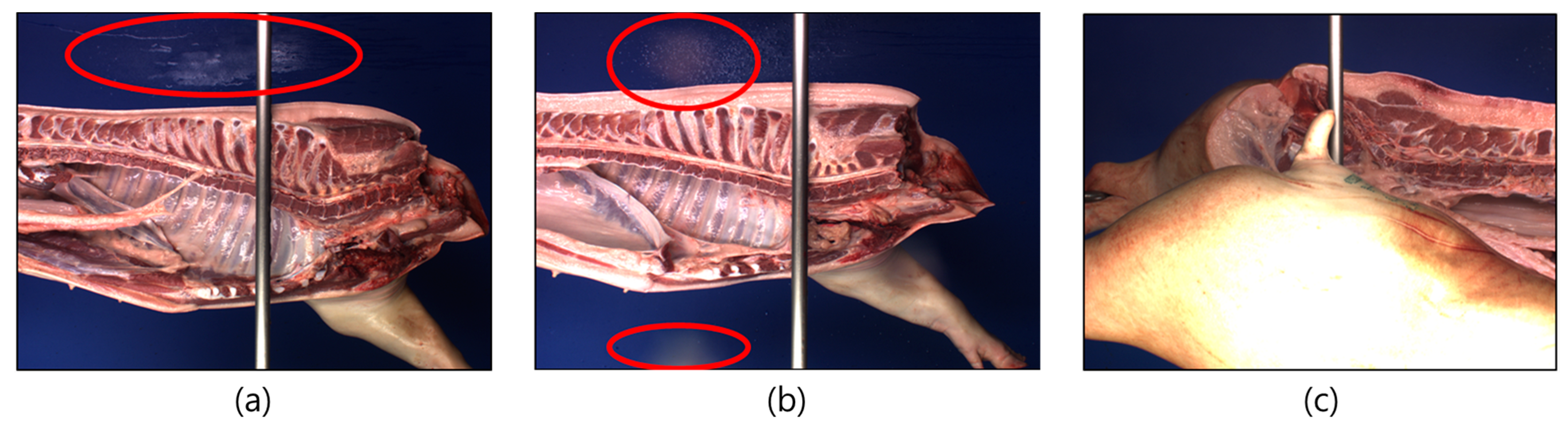 Animals | Free Full-Text | Robot Technology for Pork and Beef Meat Slaughtering Process: A Review Animals | Free Full-Text | Robot Technology for Pork and Beef Meat Slaughtering Process: A Review