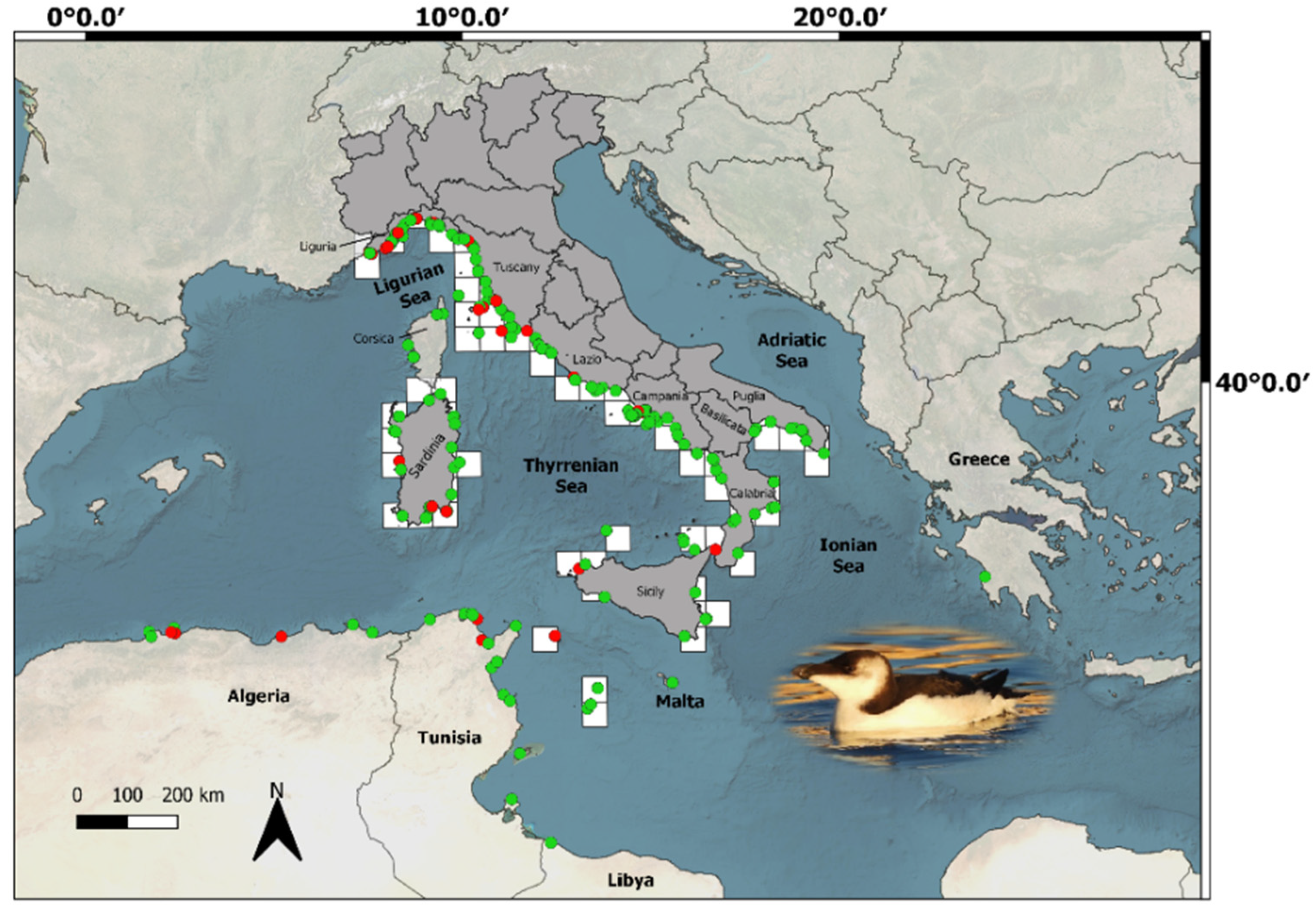 Animals 13 00656 g001