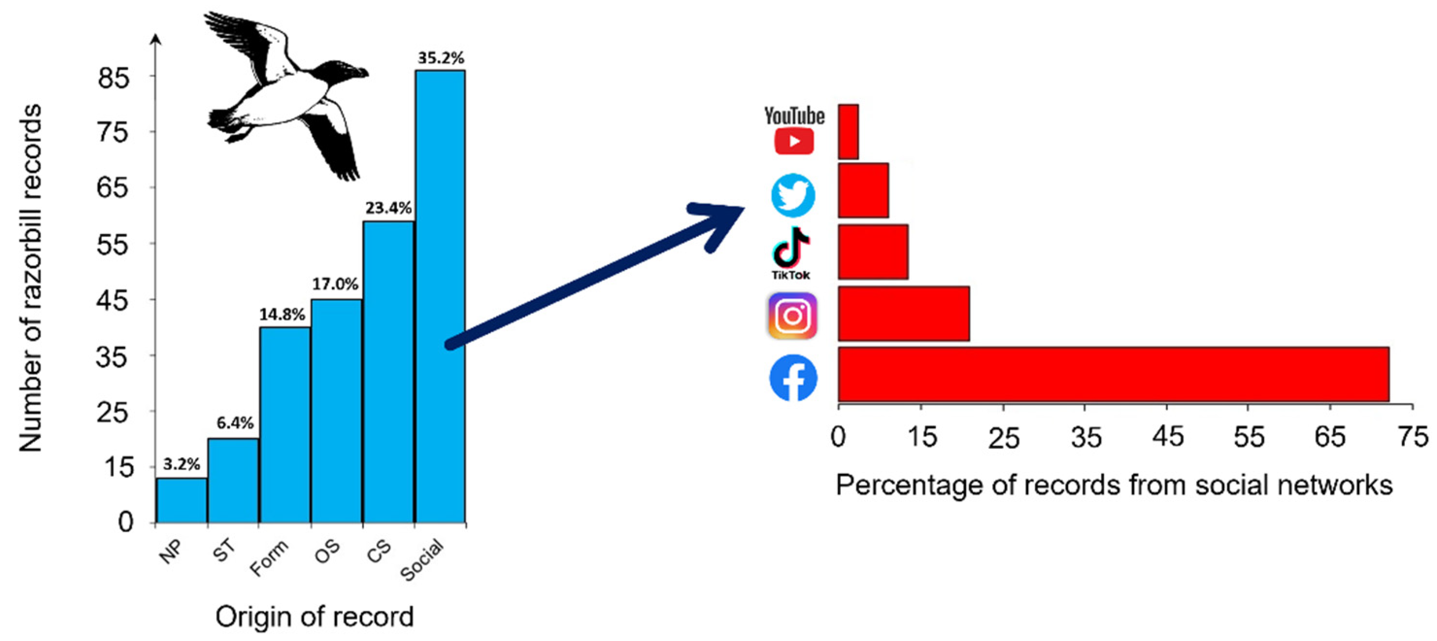 Animals 13 00656 g003