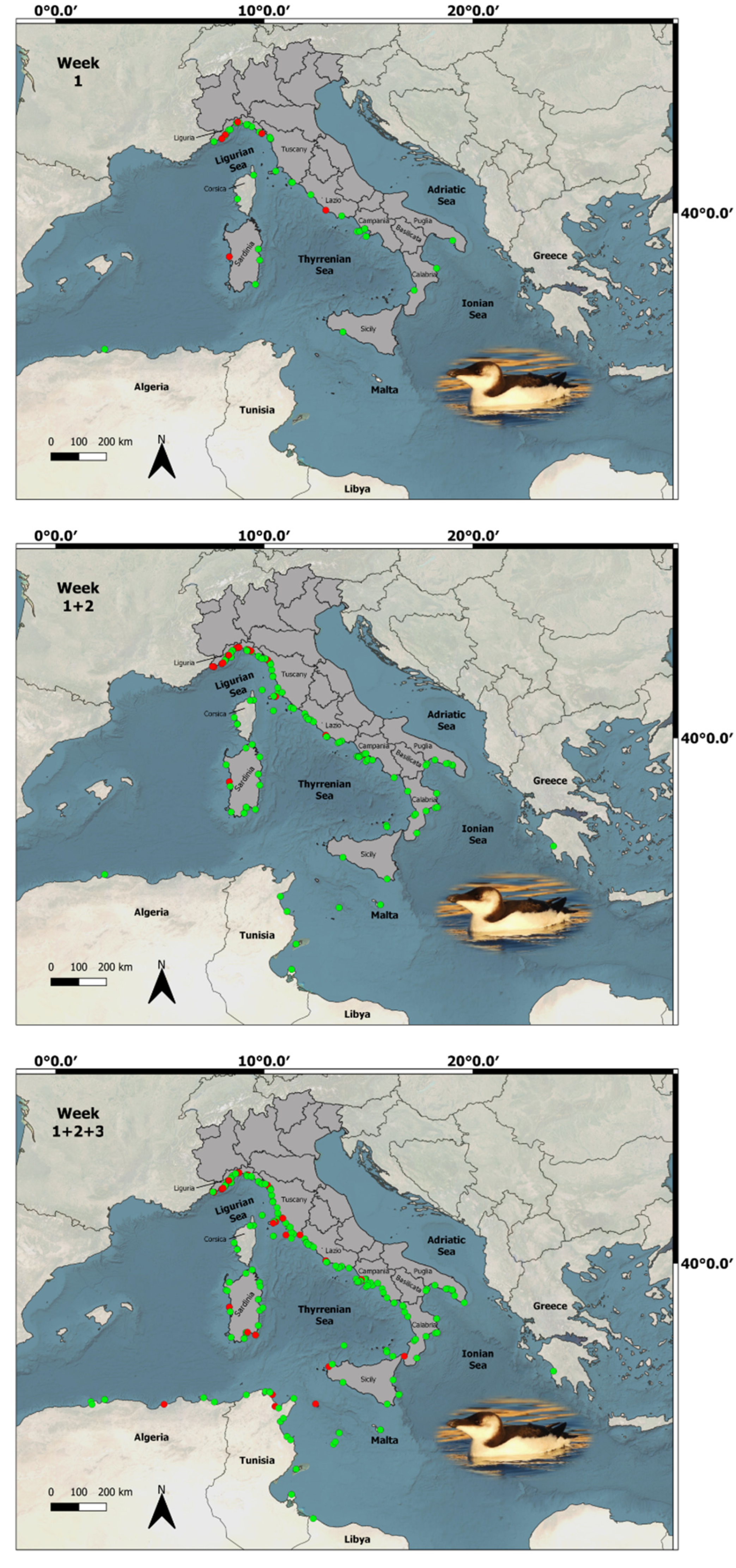 Animals 13 00656 g0a1