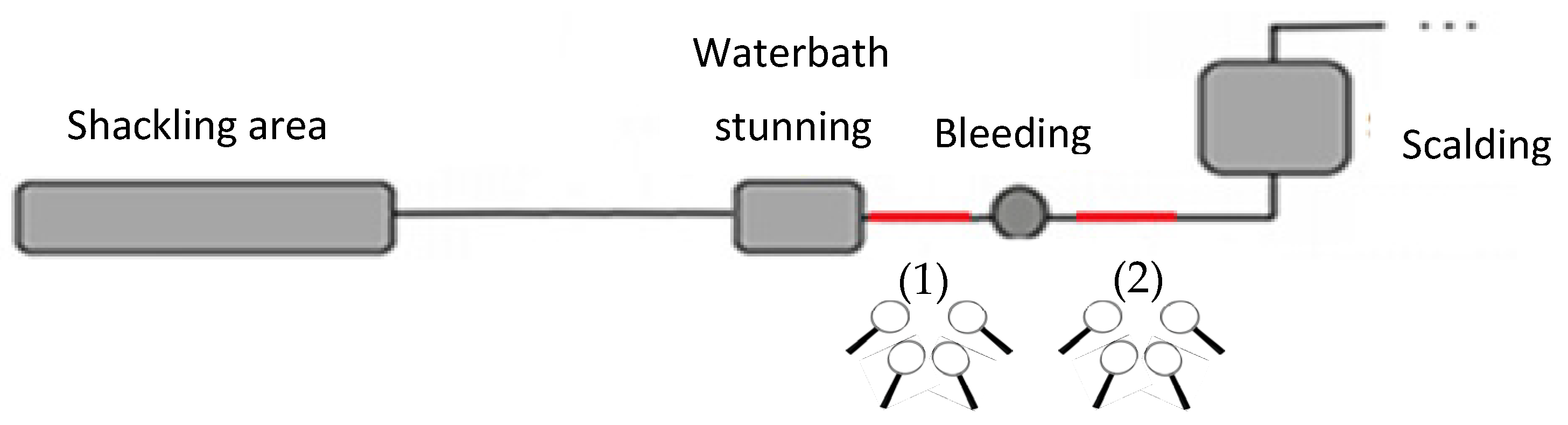 Animals 13 00668 g001